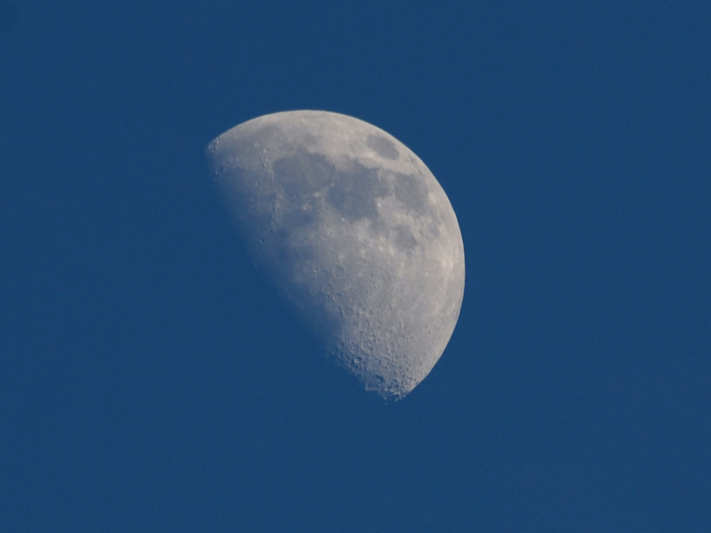 104 moon on a clear Kanha evening.jpg