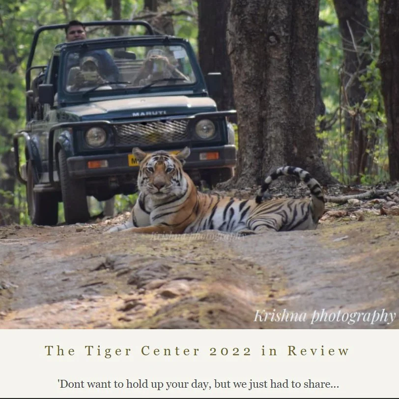 The Tiger Center