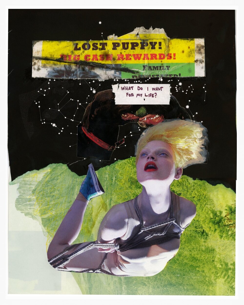 LOST-PUPPYhiresremastered.jpg