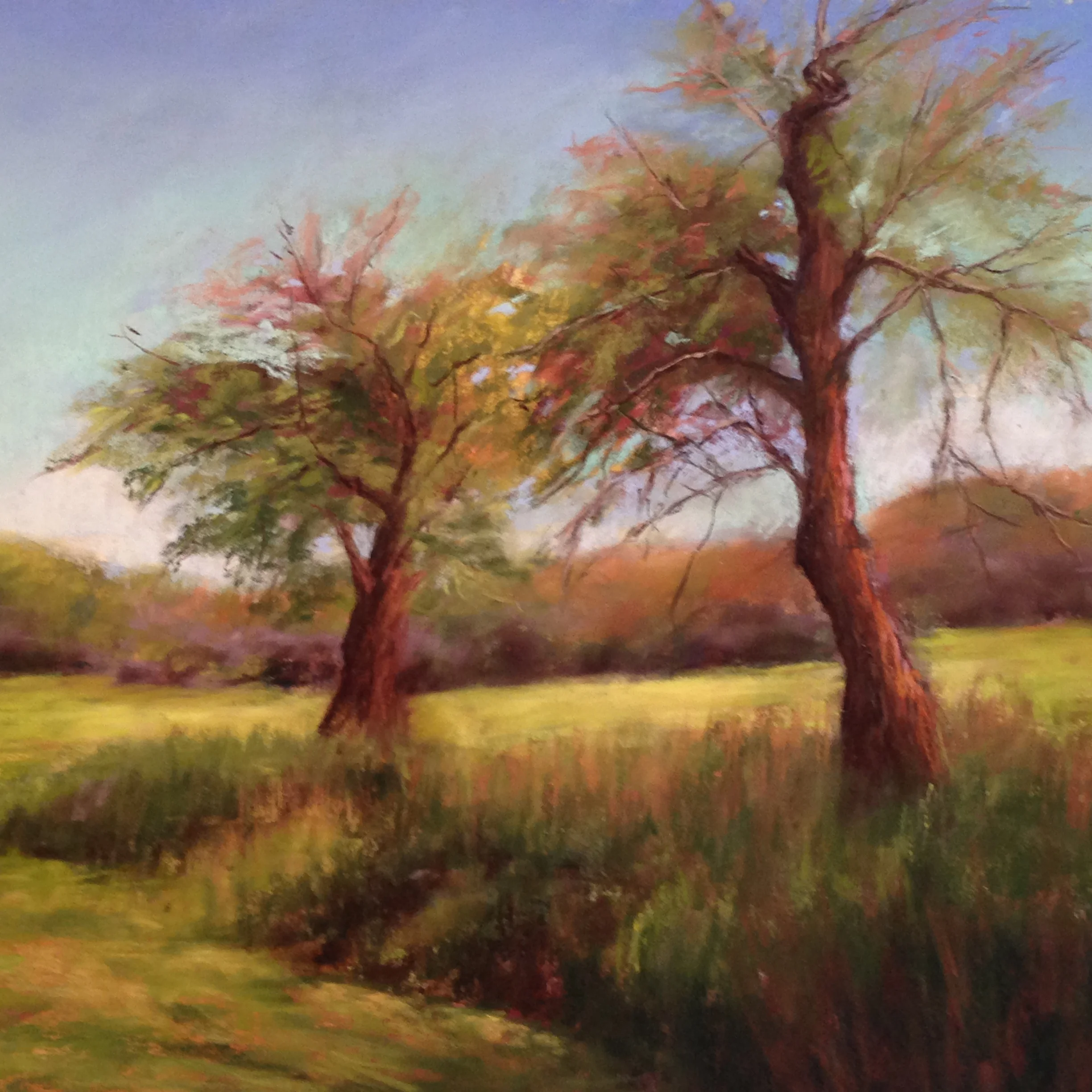 The Old Orchard
