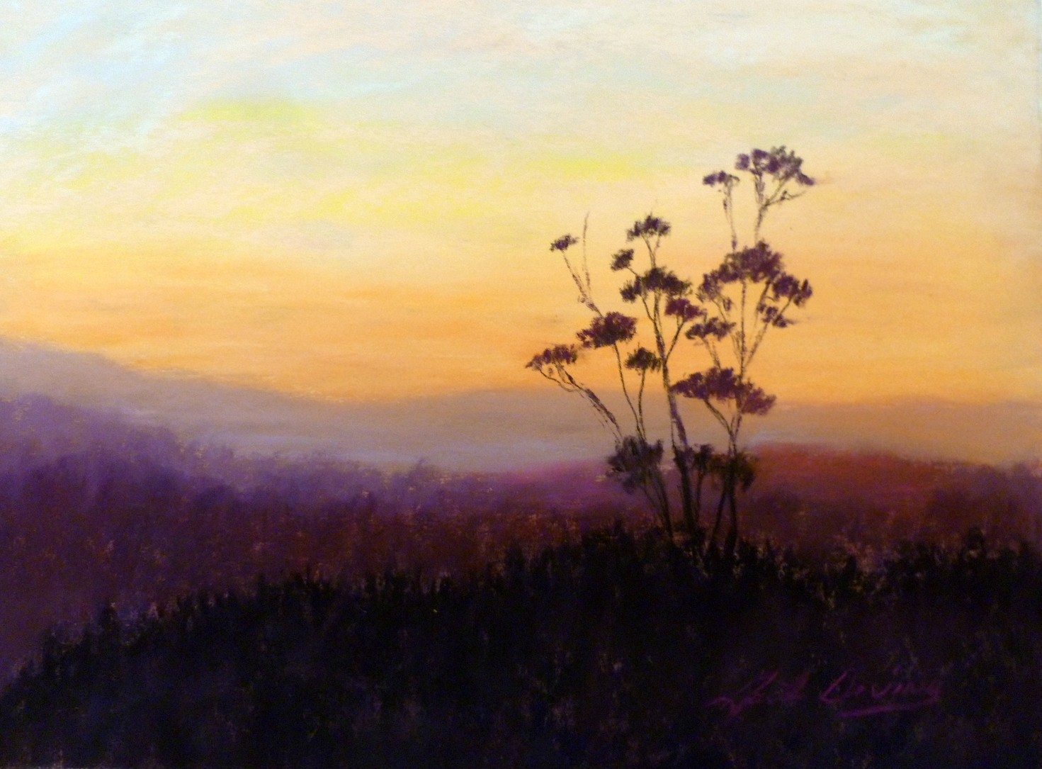 TWILIGHT
