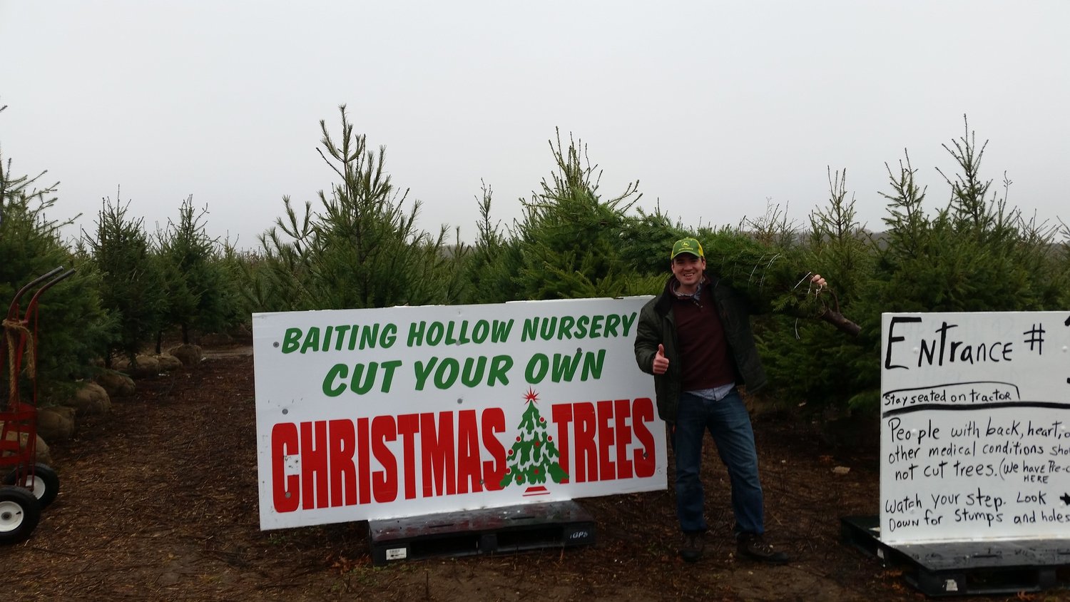 Christmas Trees — Lewin Farms Homepage