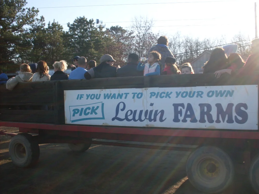 Christmas Trees — Lewin Farms Homepage