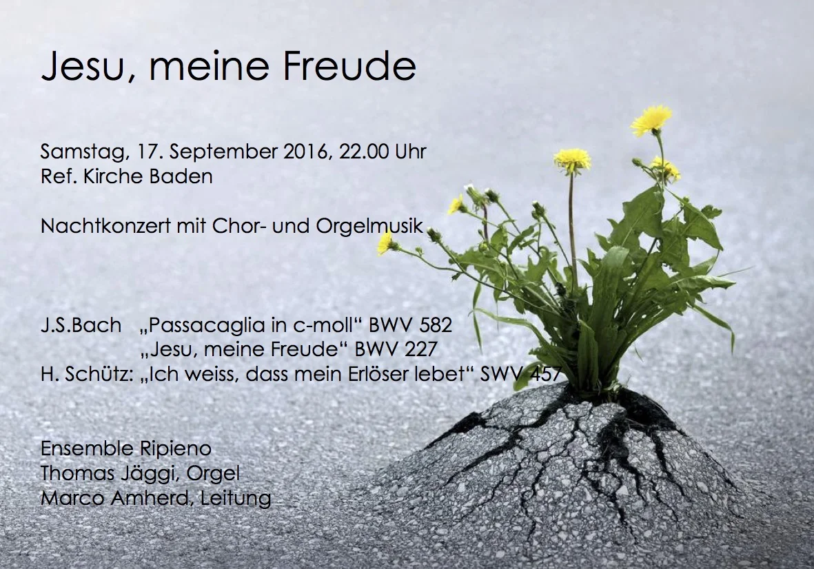 flyer baden 17.9 Kopie.jpg