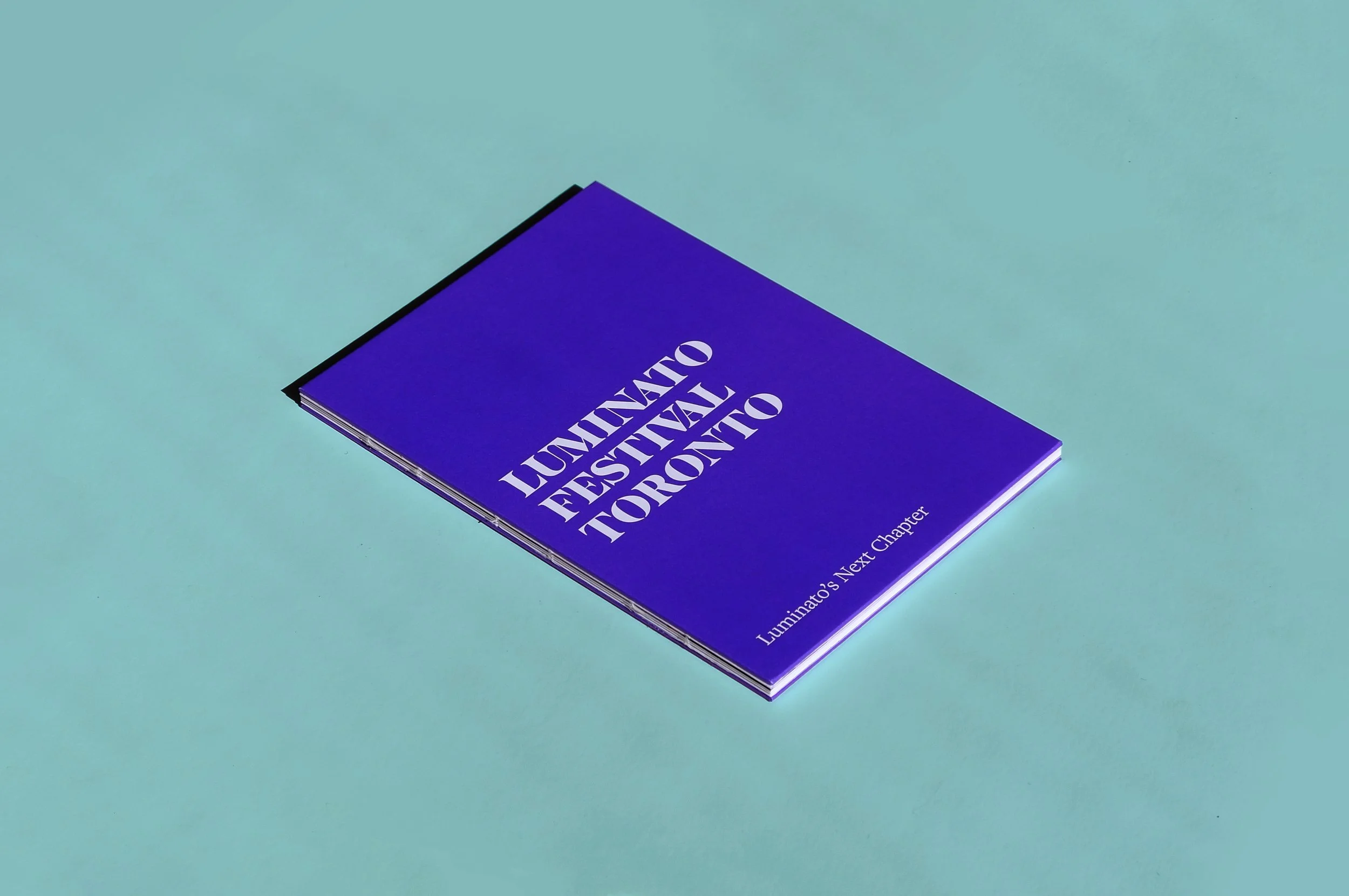 2024_10 Luminato Case for Support_Image_8B.jpg