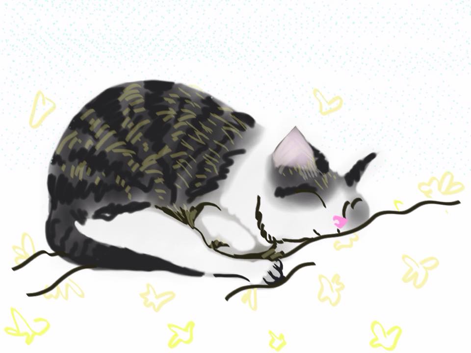 Portrait of a Sleeping Cat
