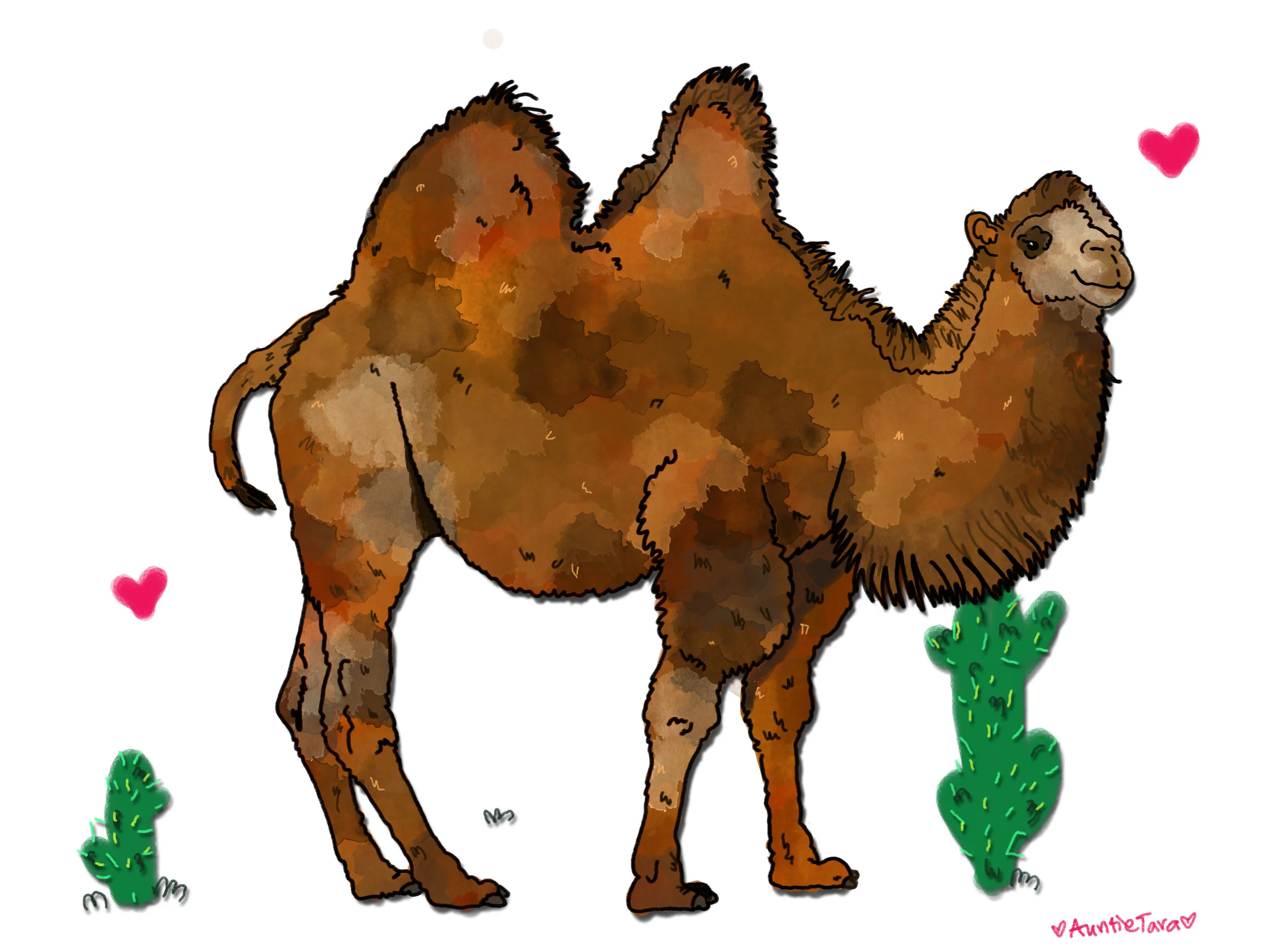 Khosro the Camel