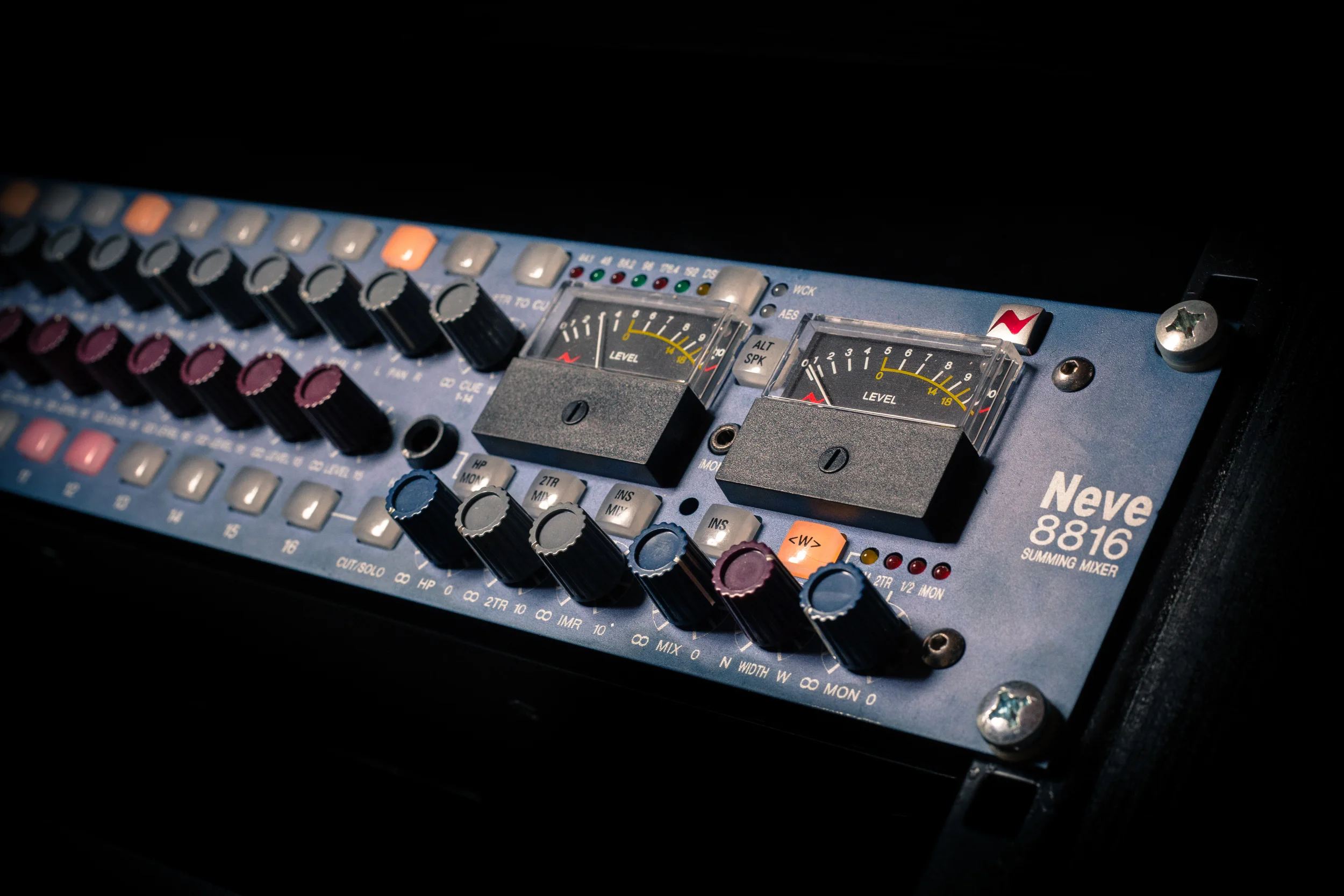 MusaP-4.jpg
