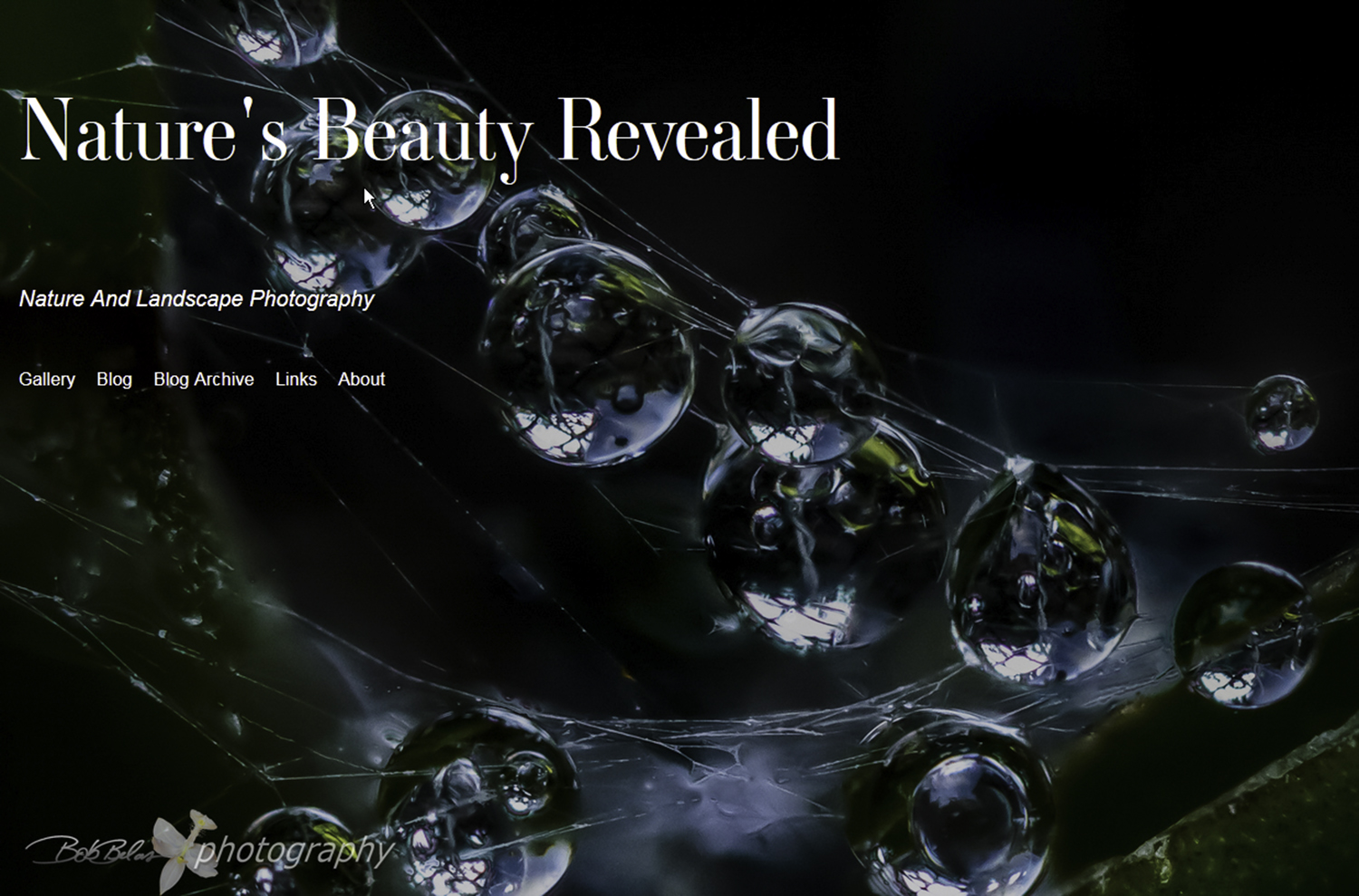 "Nature's Beauty Revealed", the new website home page
