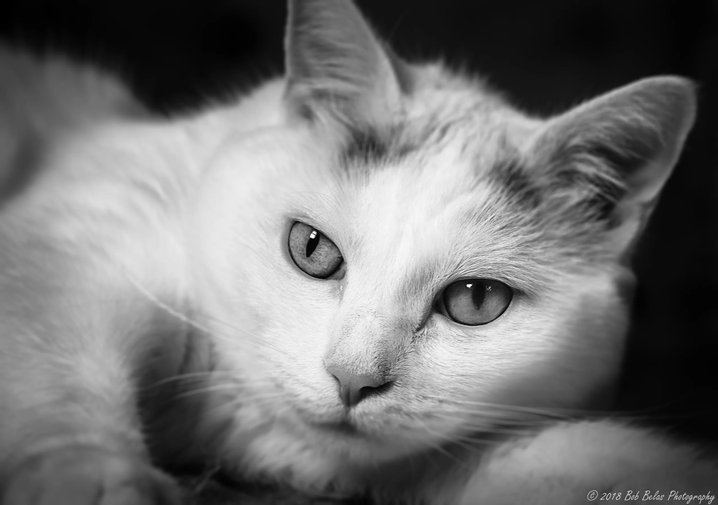 Juan's Mood, B/W