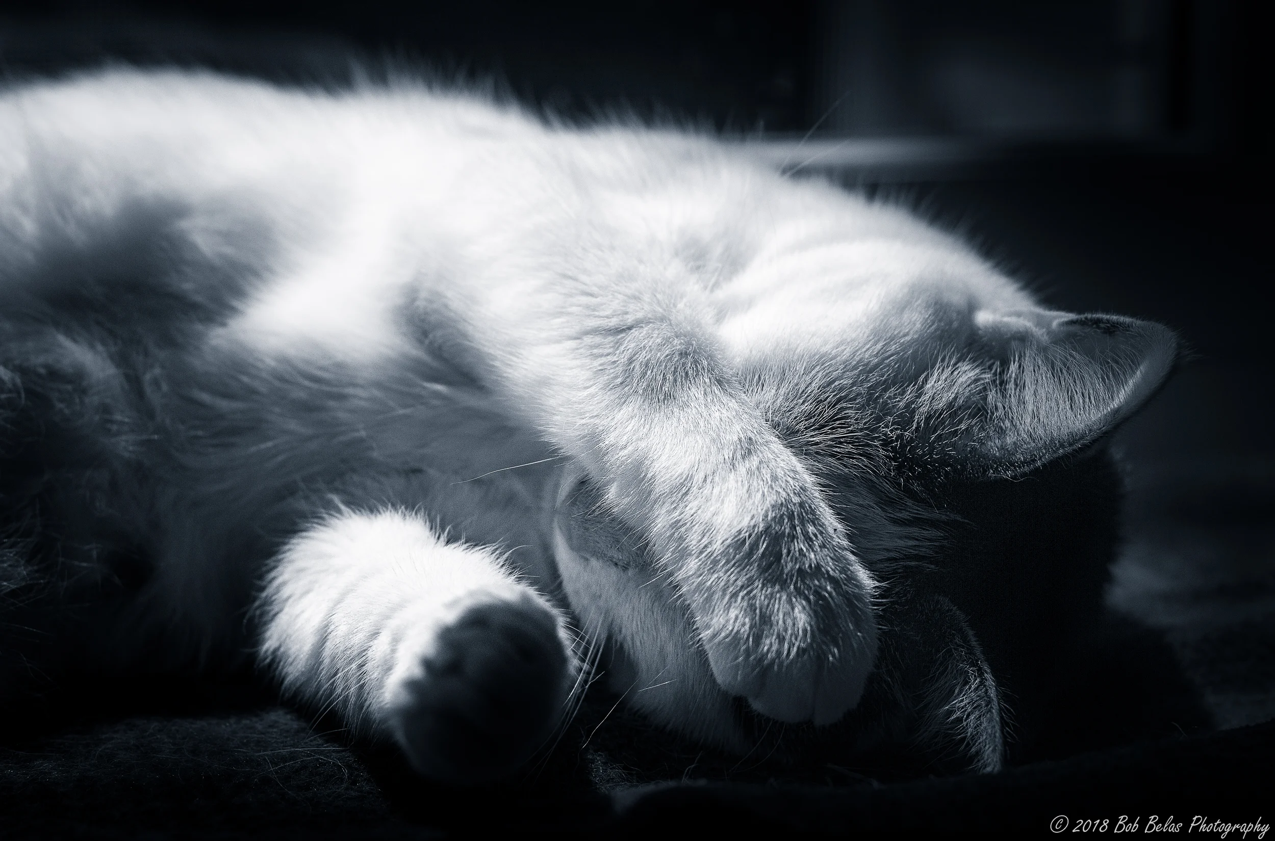 Do Not Disturb, monochrome