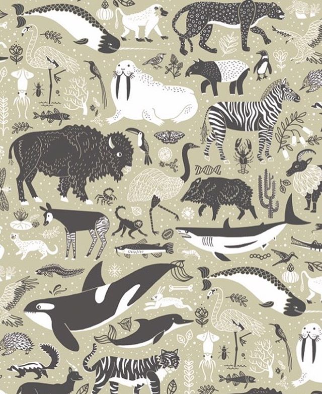 I have been working all year on this and I can't help but sneak peek a tiny bit. these are the endpapers of my next book coming out this September, called The Wondrous Workings of Planet Earth. π It is all about our worlds important ecosystems. #scientificliteracy #scientificillustration #ecosystems