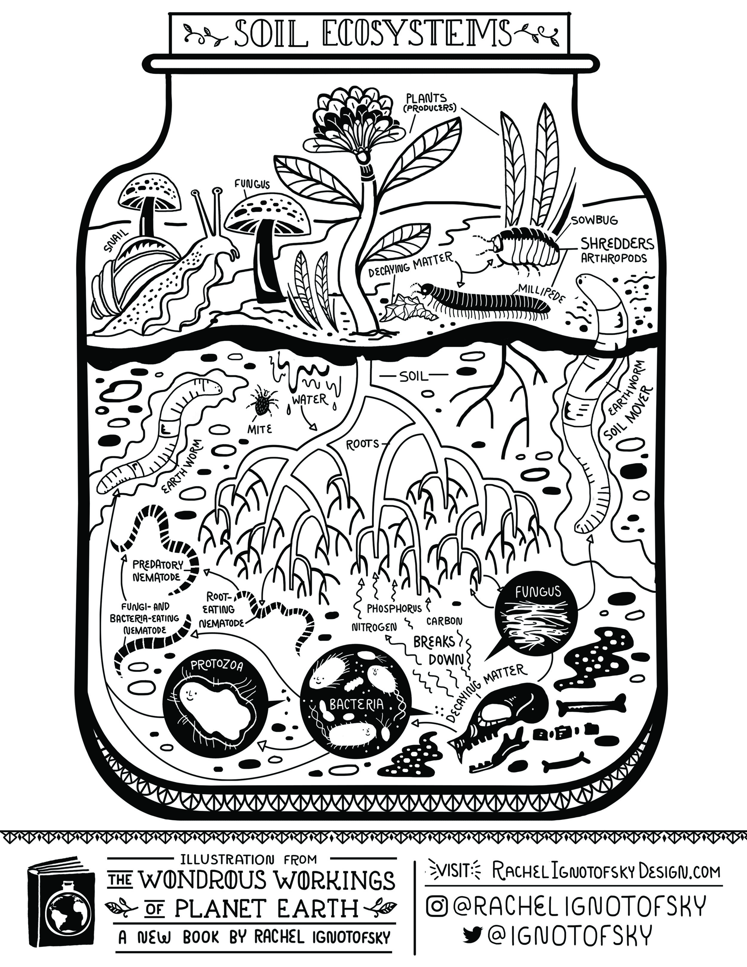 coloring page 2.jpg