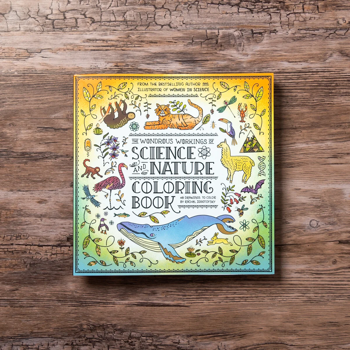 SCIENCE AND NATURE COLORING BOOK — Rachel Ignotofsky Design