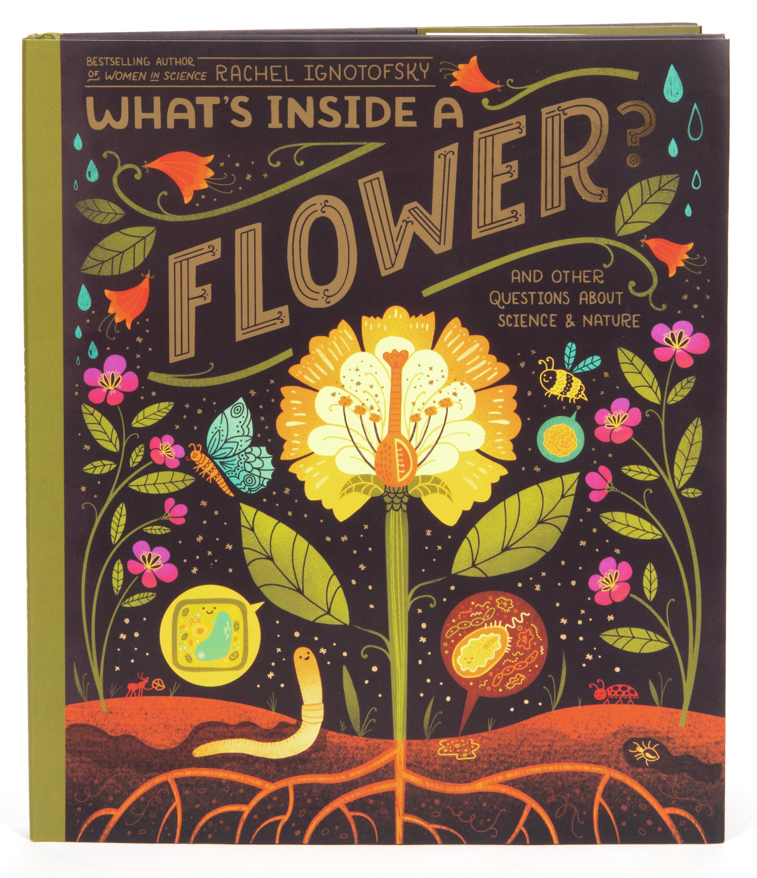 What's Inside a Flower?