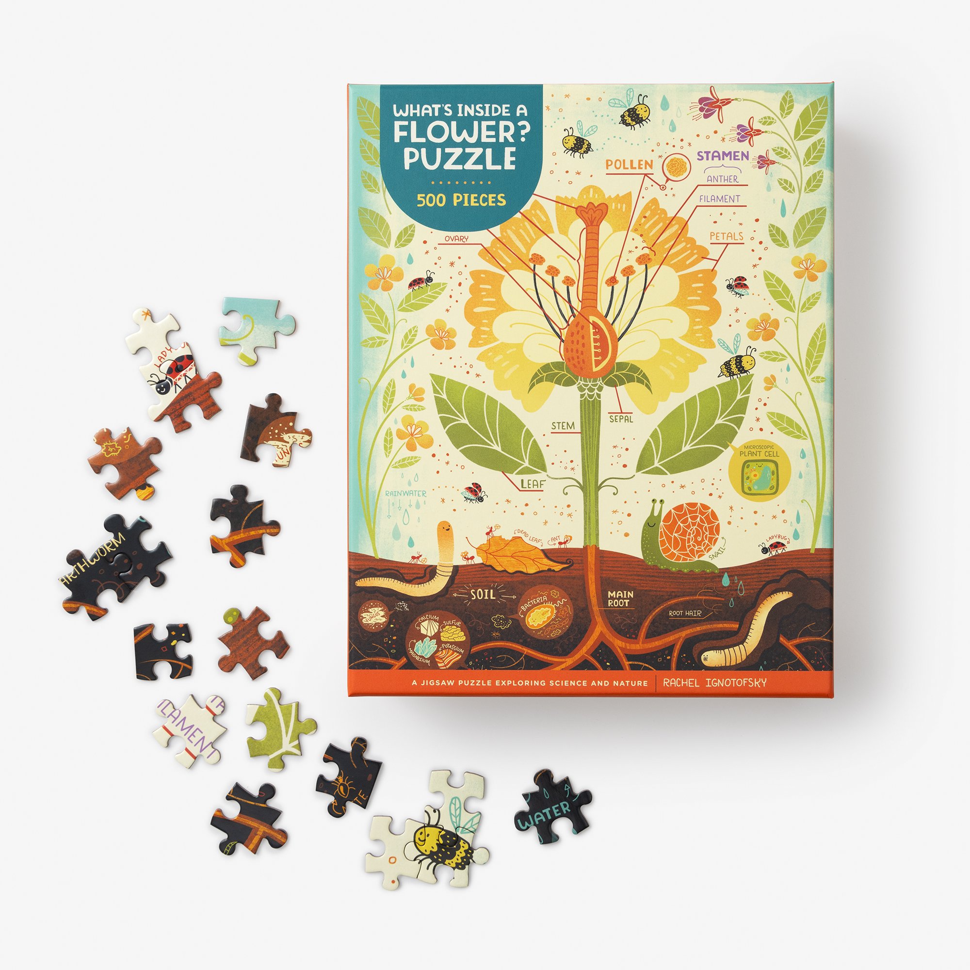 What's Inside a Flower Puzzle_Overhead Box with Pieces_077.jpg