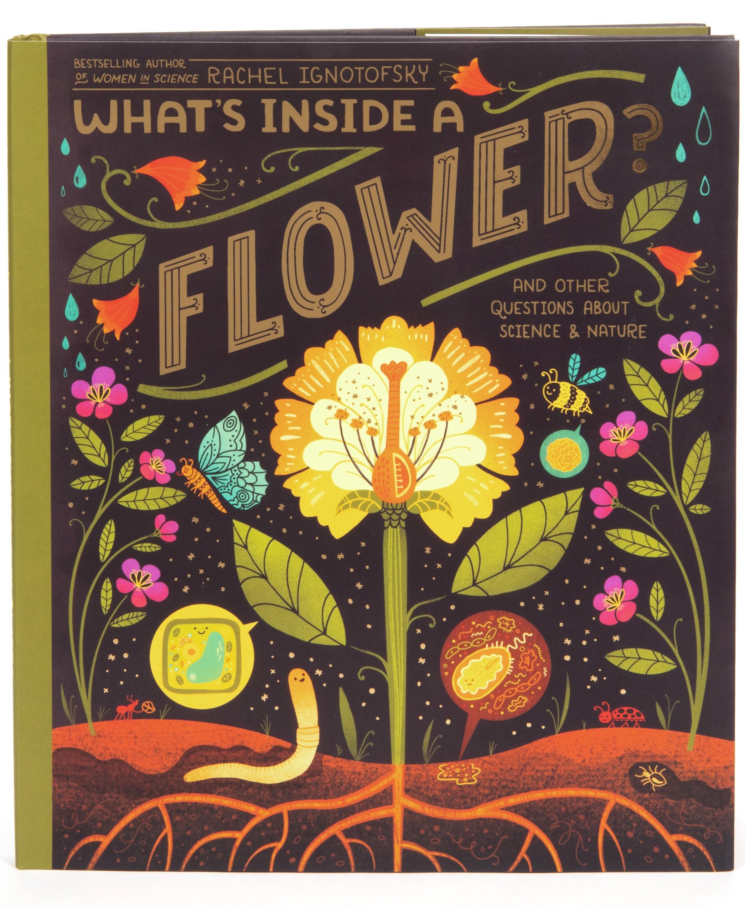 What's Inside a Flower? (Copy)