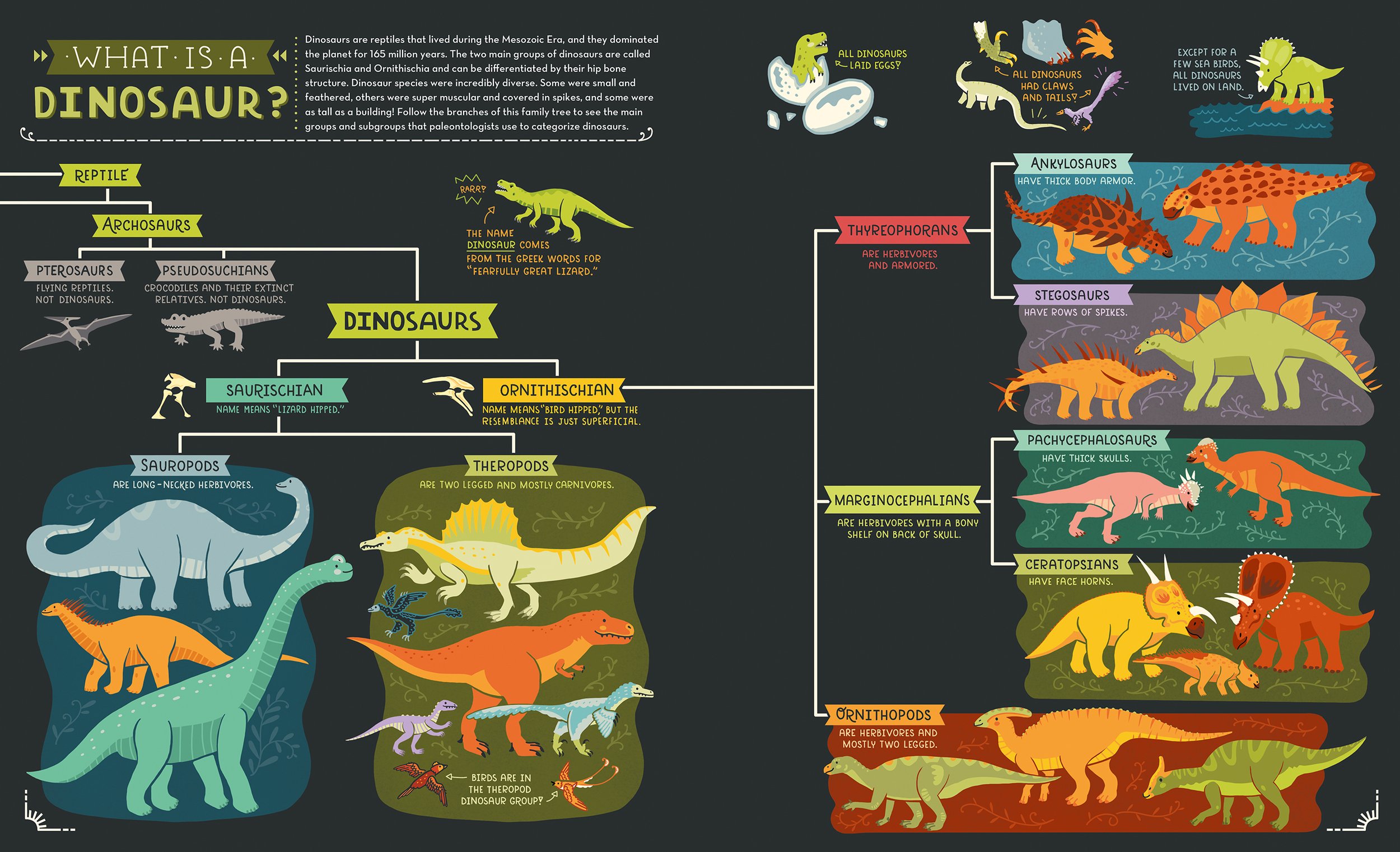 6. what is a dino copy.jpg