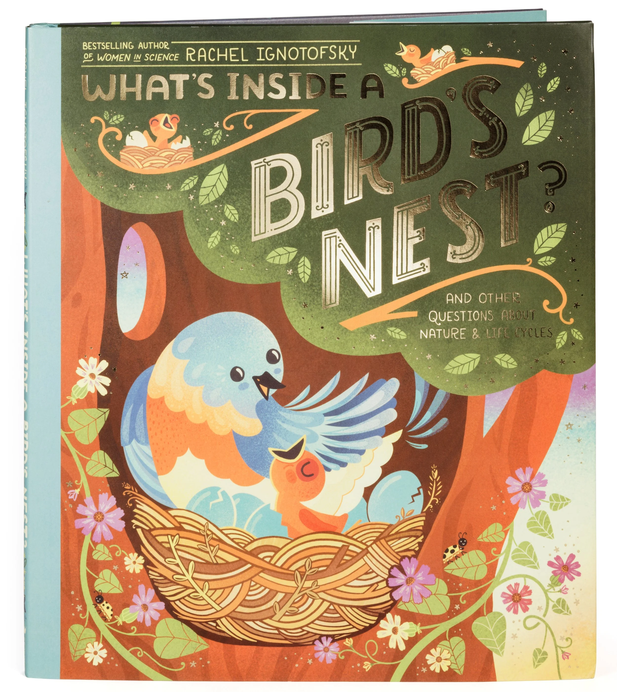 wahts inside a birds nest by rachel ignotofsky low res.jpg