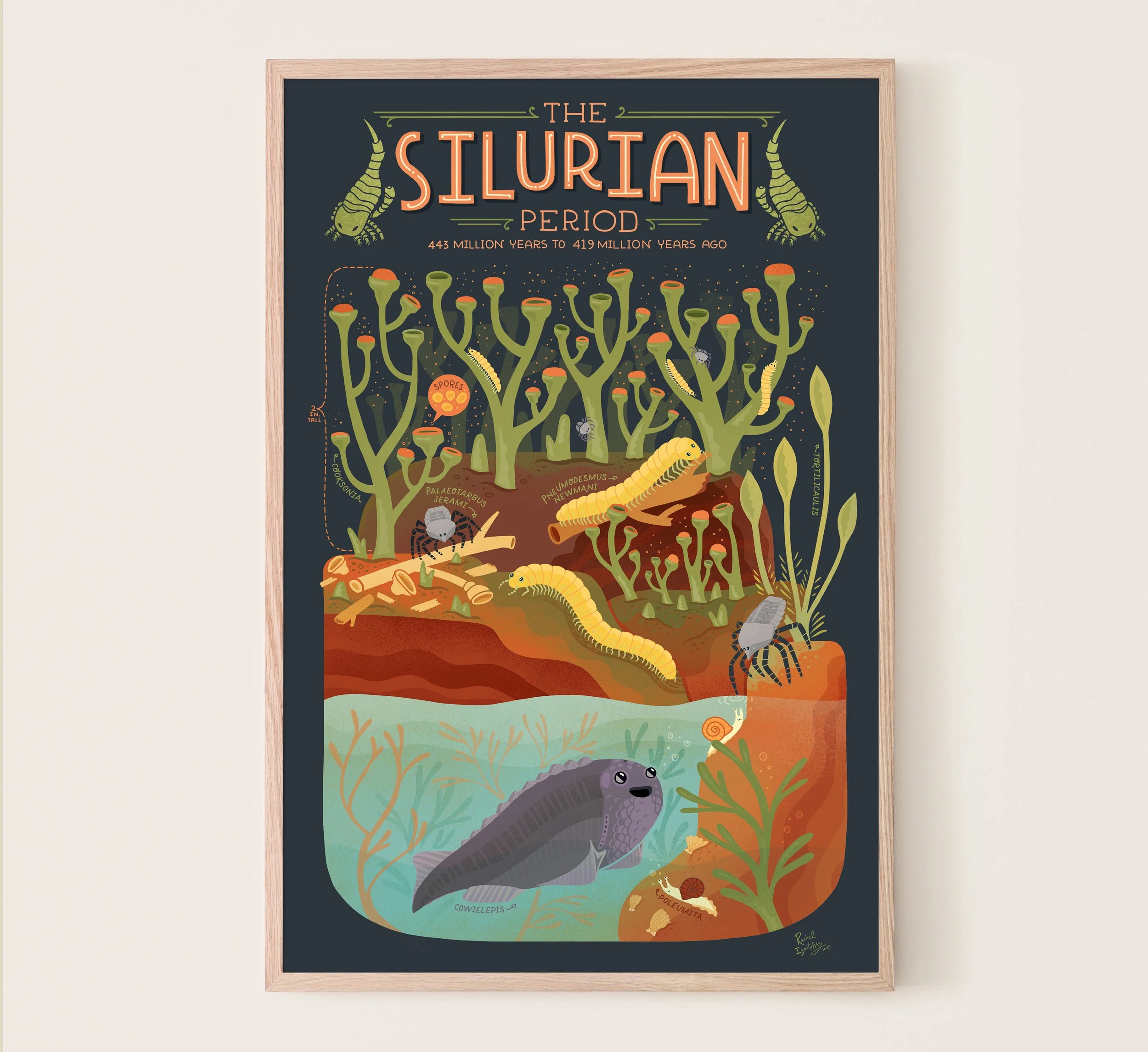 Silurian frame.jpg