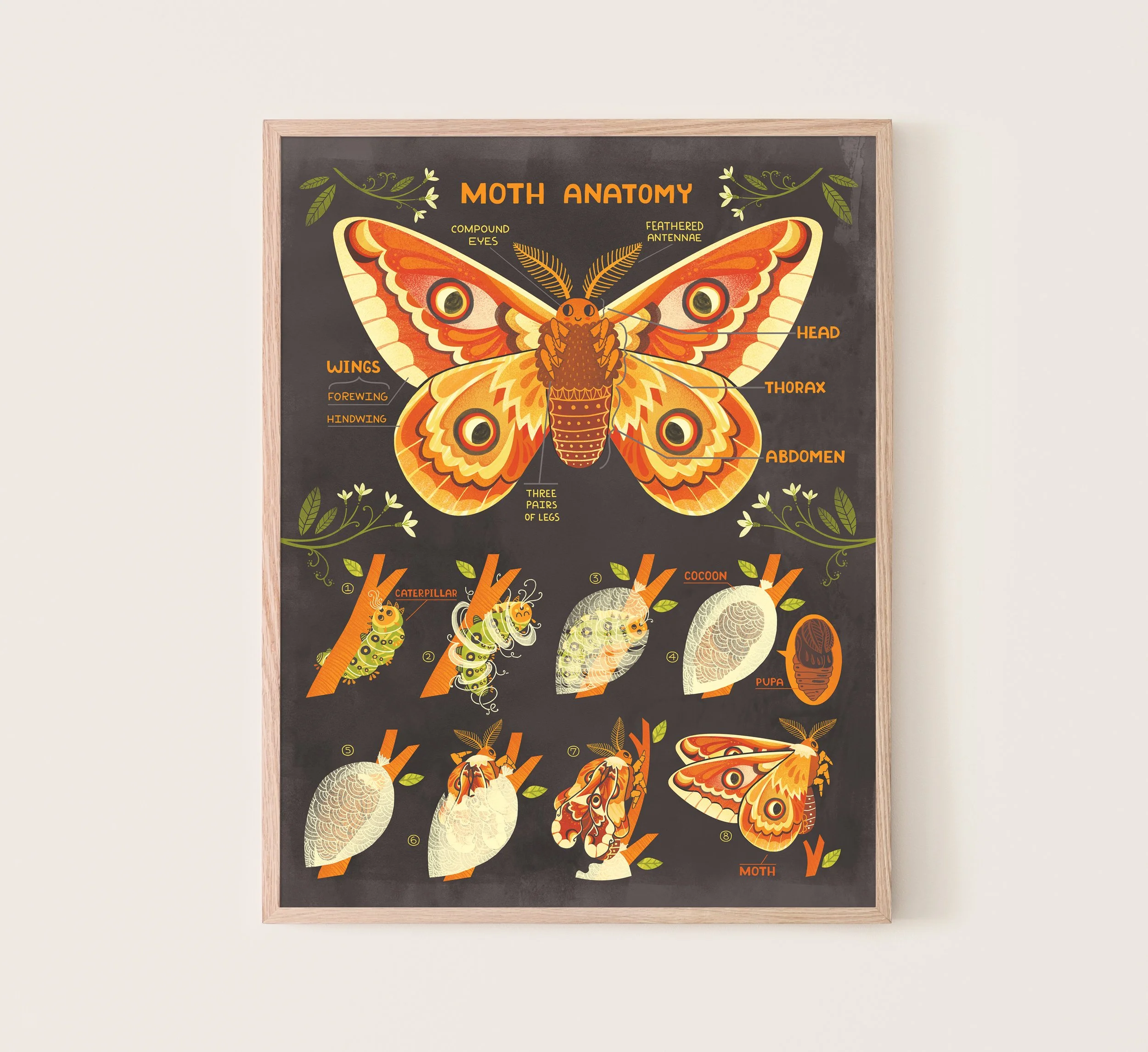 Moth  framepsd copy.jpg