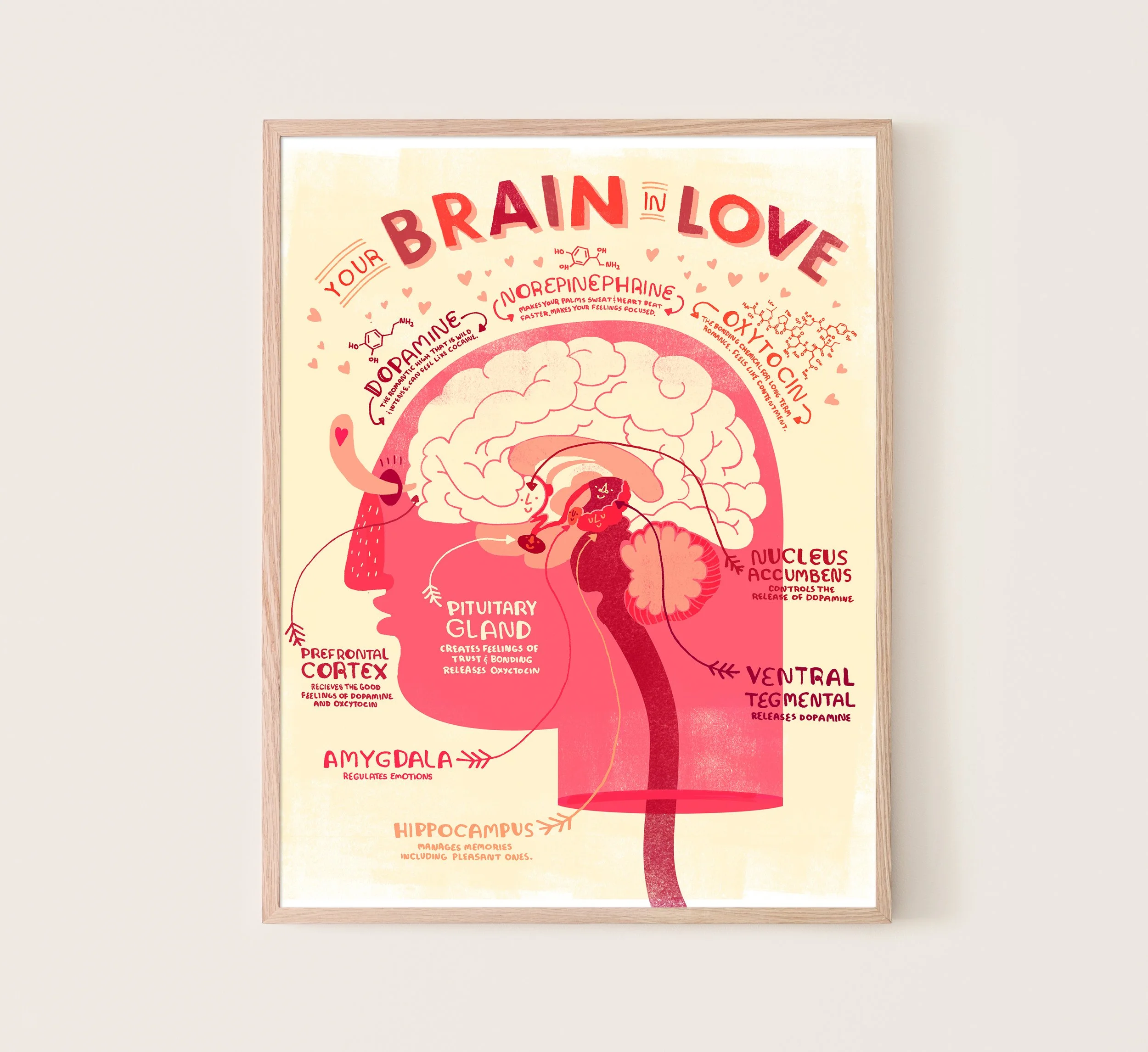 Brain frame.jpg