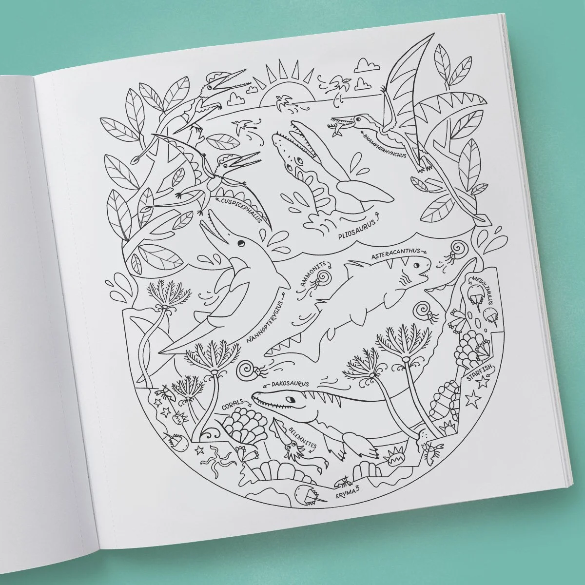 for amazon2 copy.jpg