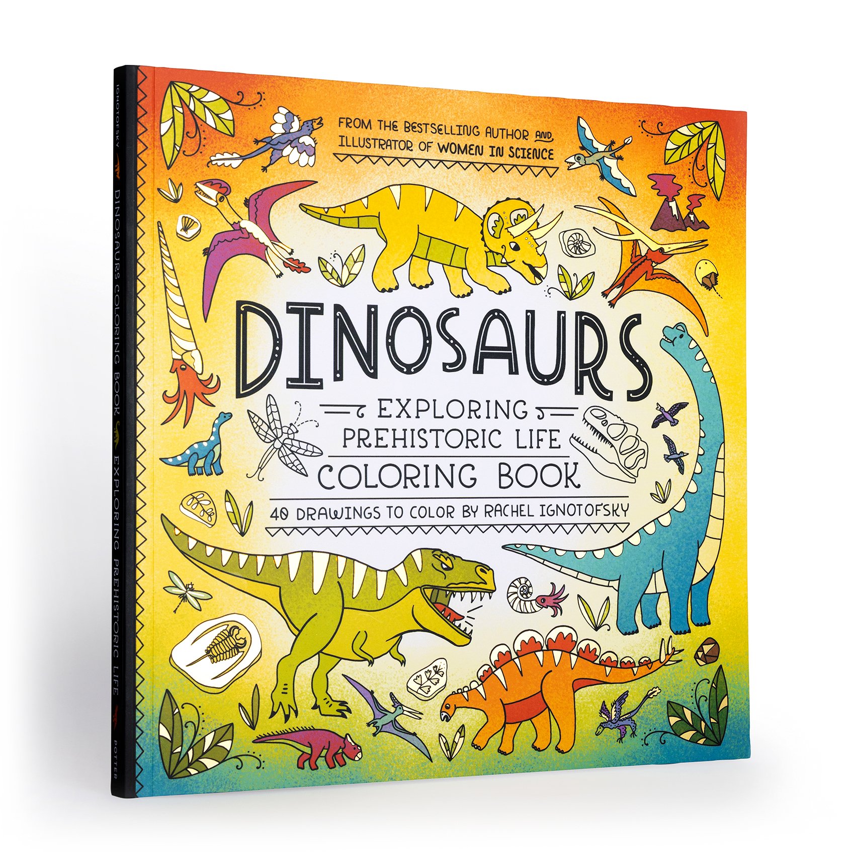 Dinosaurs Coloring B2 ook rachel ignotofsky.jpg