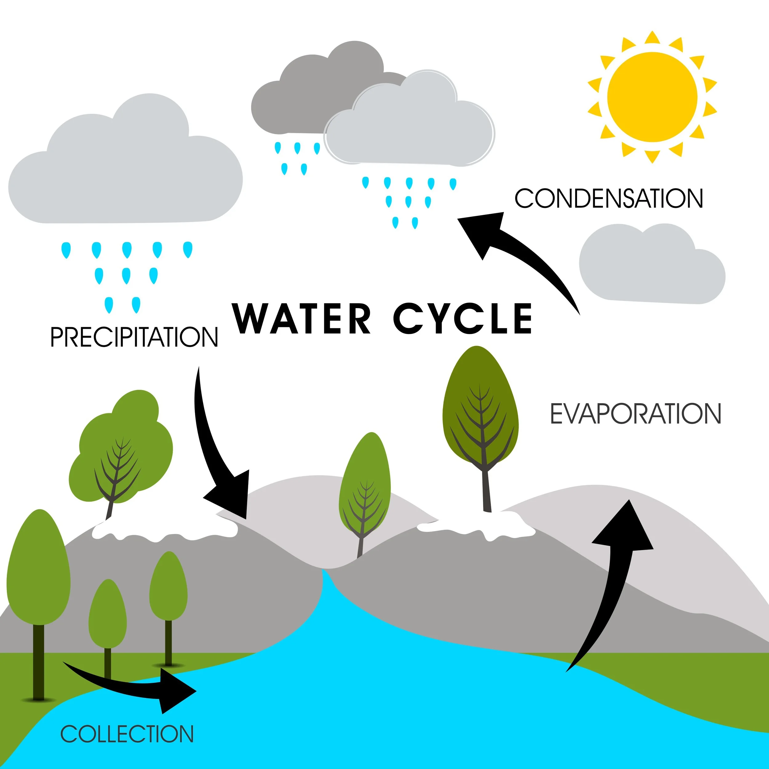 Our undervalued natural resource