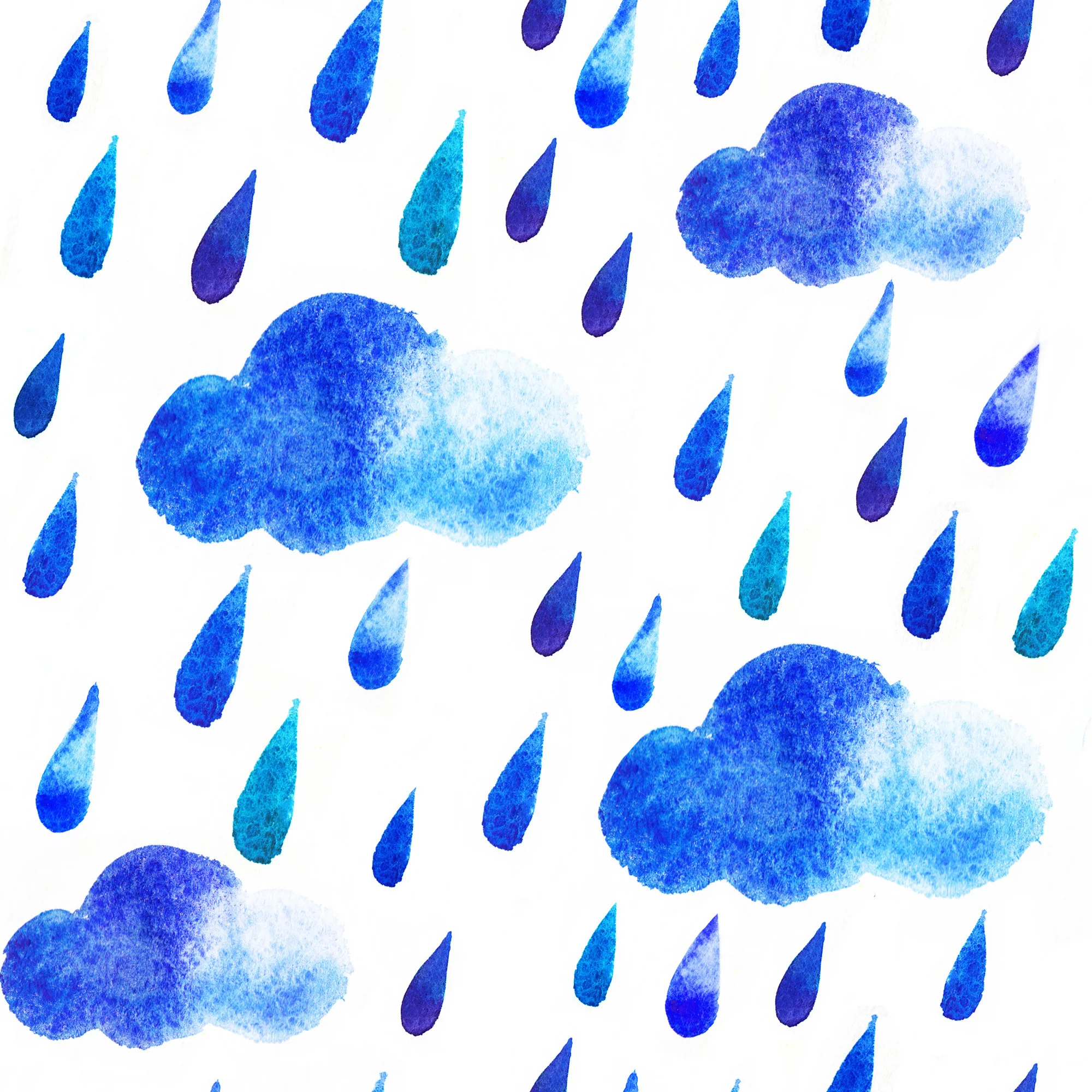 Grey water and rainwater catchment: San Francisco Green Festival