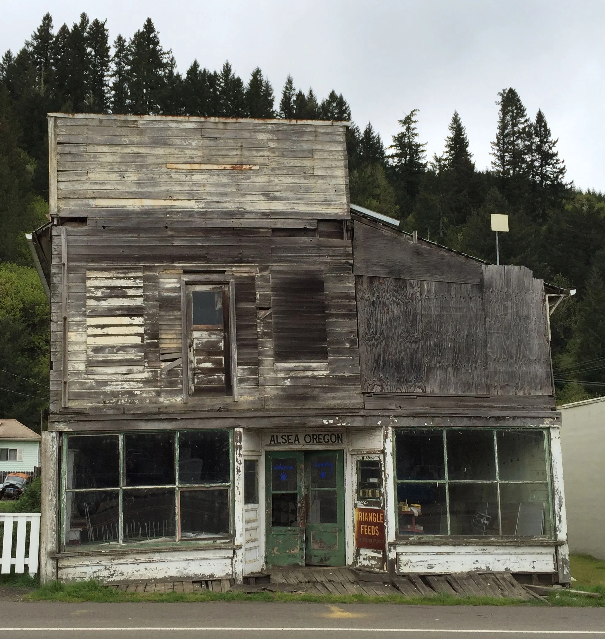 Hanging out in Alsea, Oregon