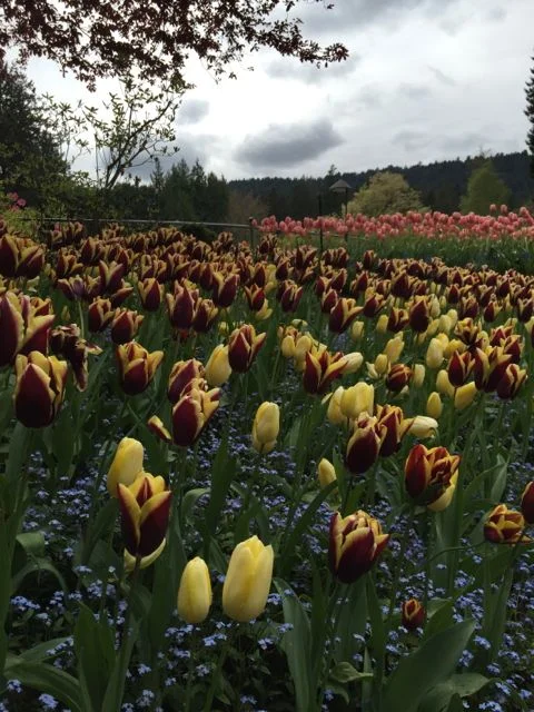 Vancouver, British Columbia