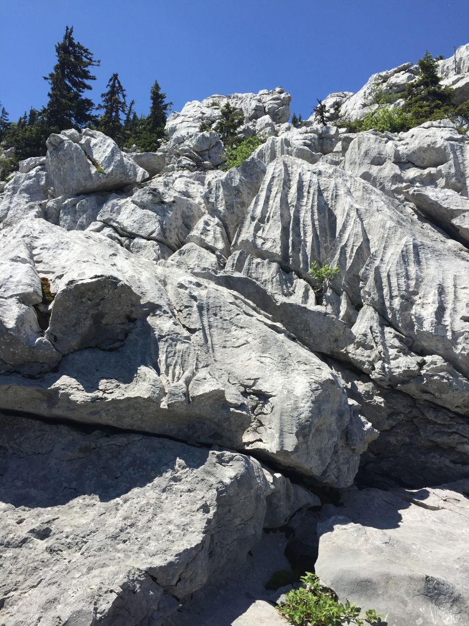 Karstic limestone in the Velebit Mountains show signs of long-ago erosion.