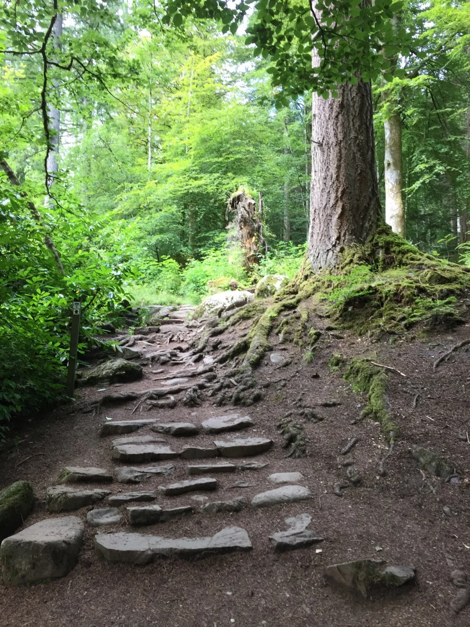 The Hermitage Pathway was been walked by the likes of Wordsworth, Queen Victoria and Mendelssohn. (Contributed photo)