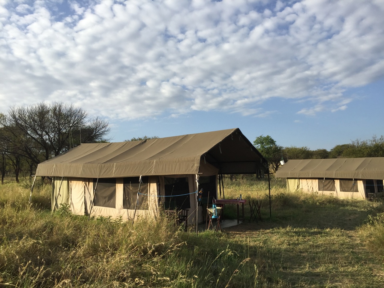 Tents in the Simba Tent Camp, Serengeti National Park. The tent in the foreground was mine.