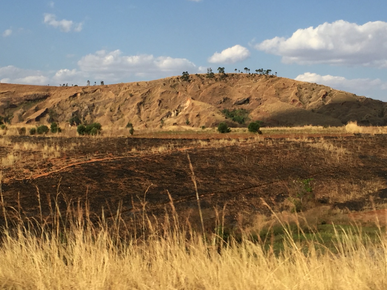 Only few spindly trees are visible on the ridges of these hills. Rural people are dependent on firewood for cooking and heating needs. Note the burned fields in the foreground.