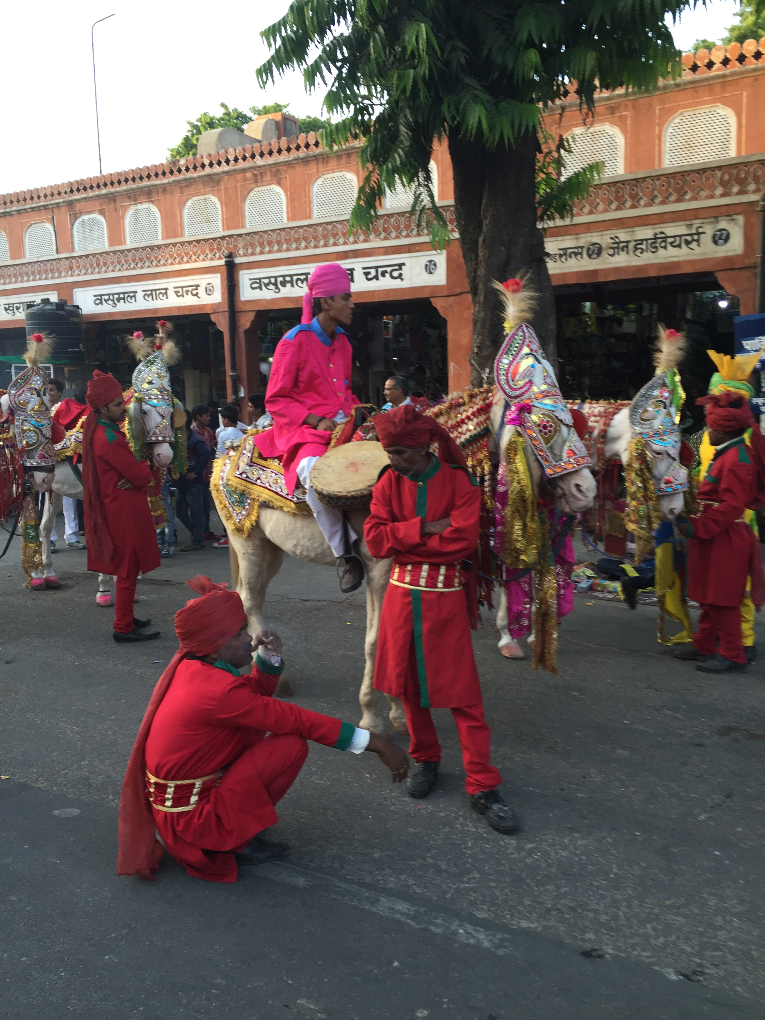 A parade I observed and then briefly joined in Jaipur.