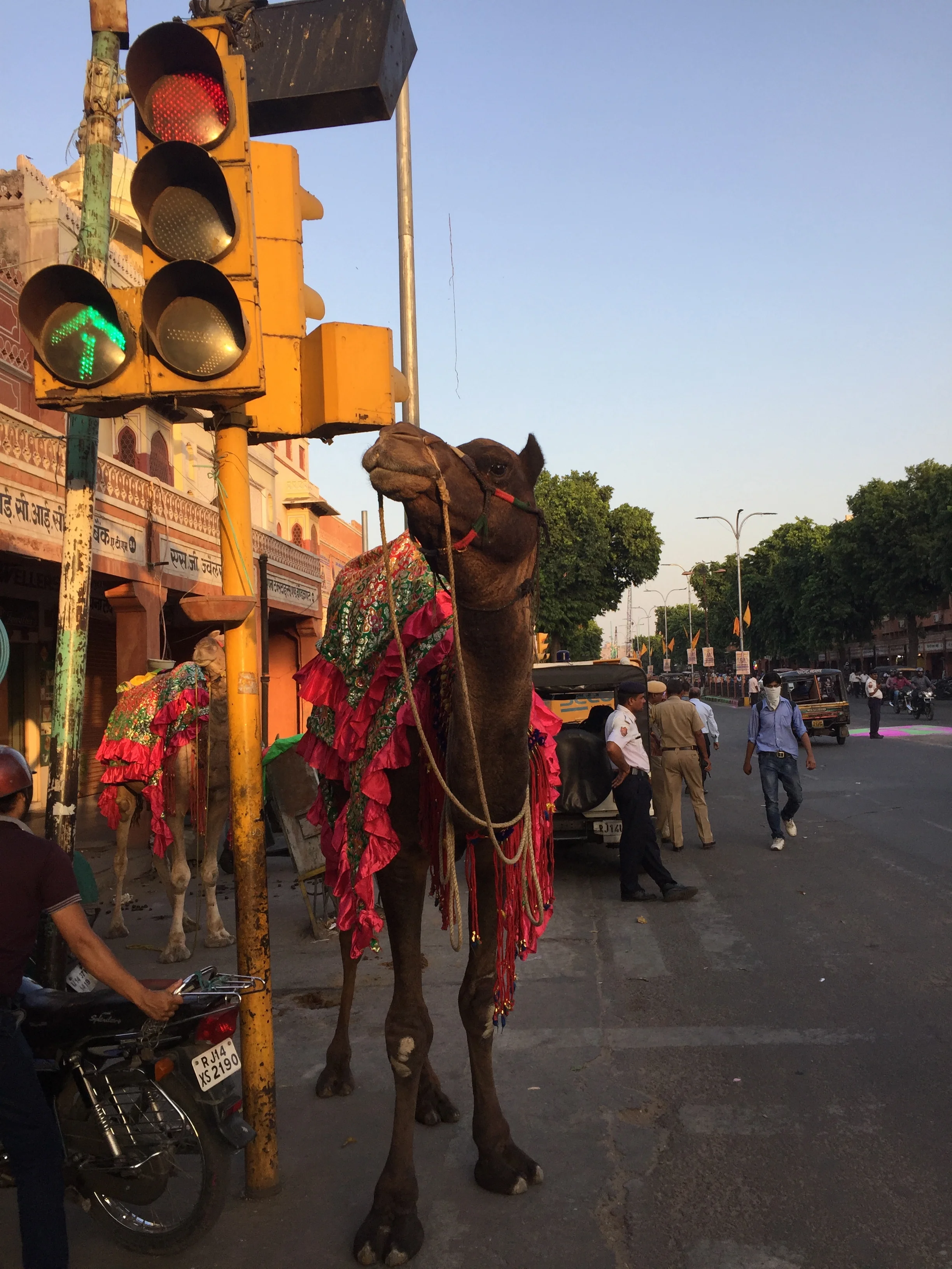 India: Unpredictable, unexplicable and unforgettable