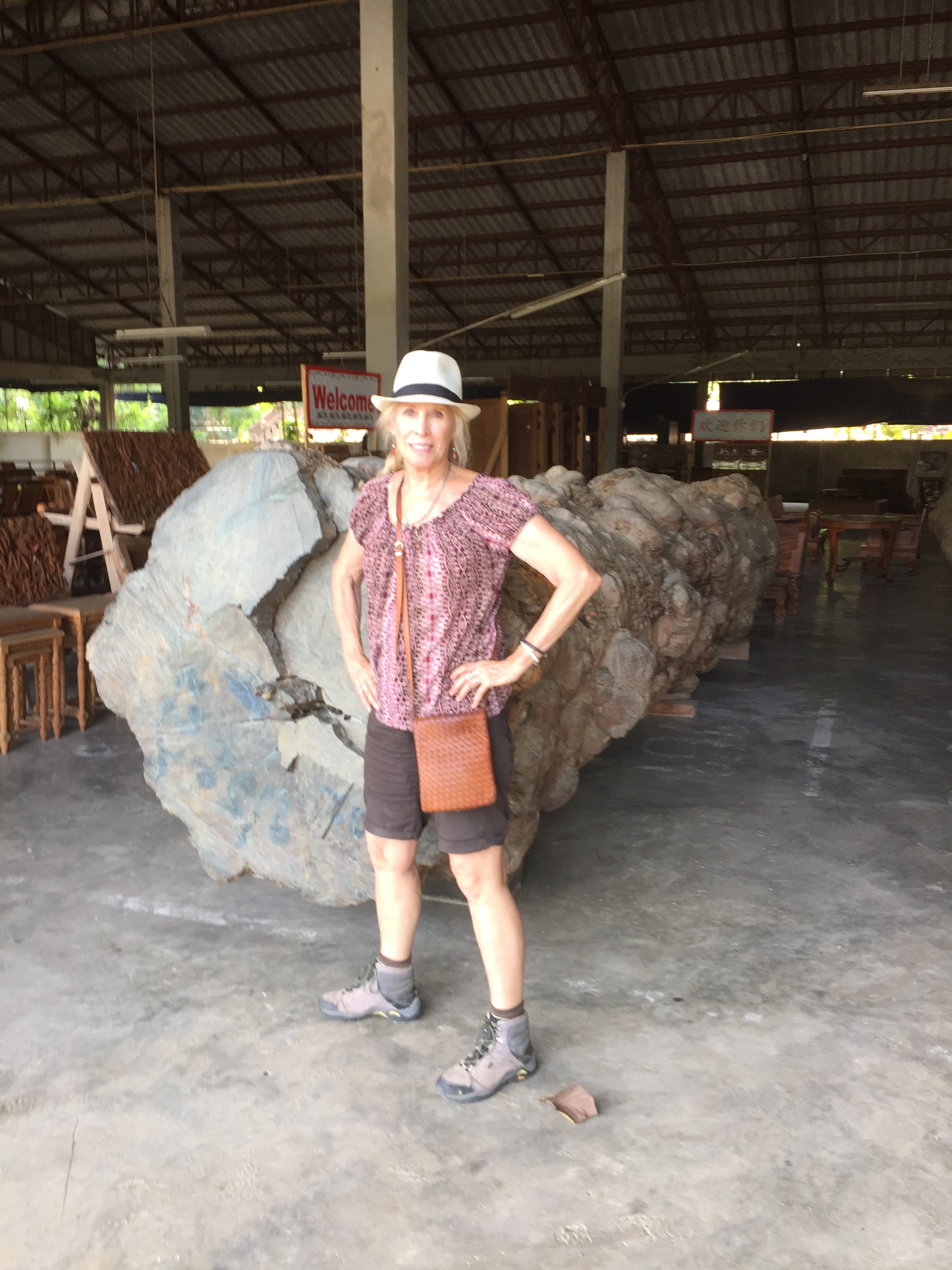 Me next to an old growth teak tree on the floor of the teak furniture manufacturer's warehouse in Chang Mai. This will be used to make lawn furniture. Yet, the warehouse claims to make furniture only out of "sustainably harvested" teak.