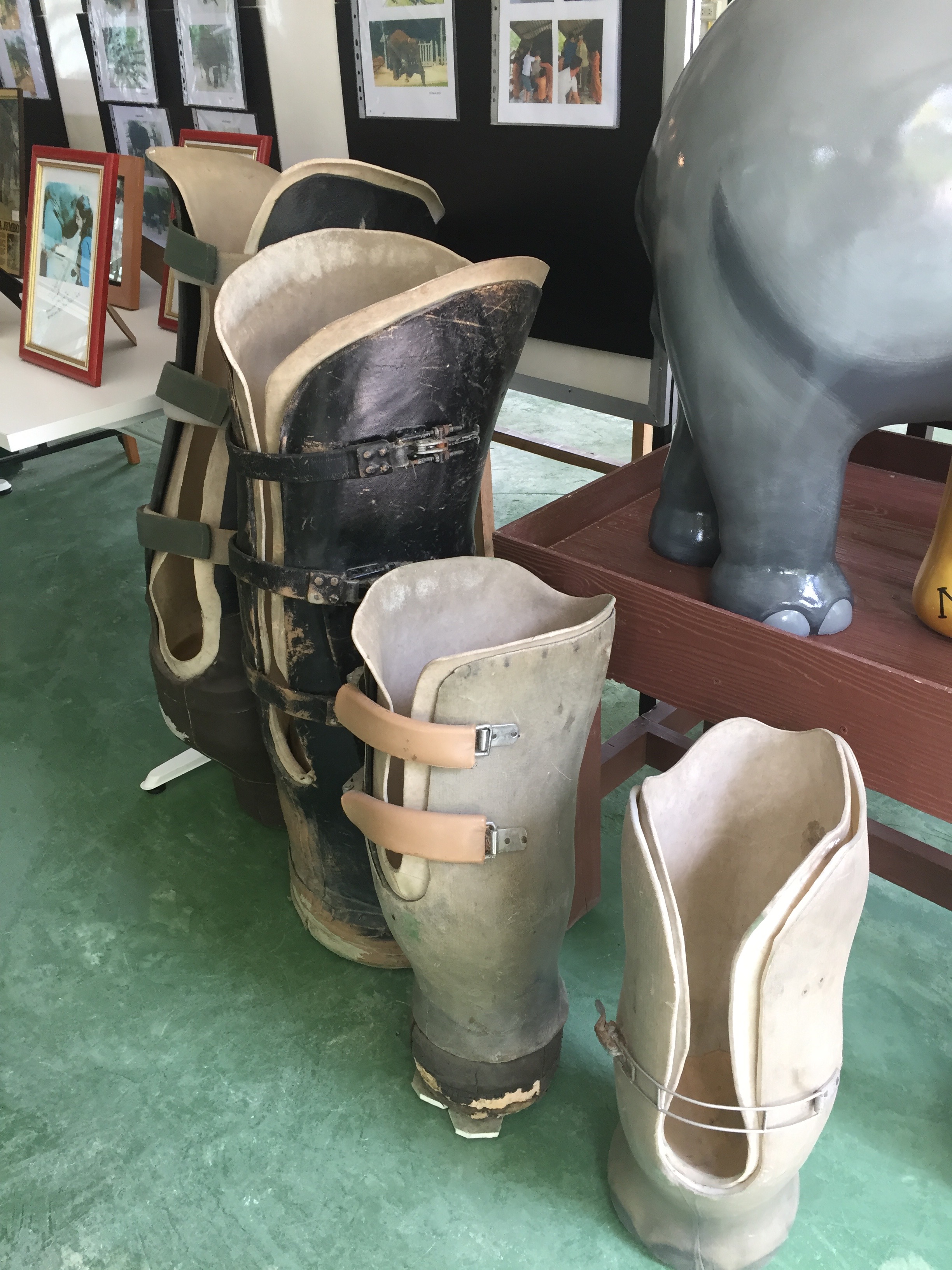 The Thai Elephant Hospital in Chang Mai makes prosthetic devices such as these for elephants injured by landmines in the forest.