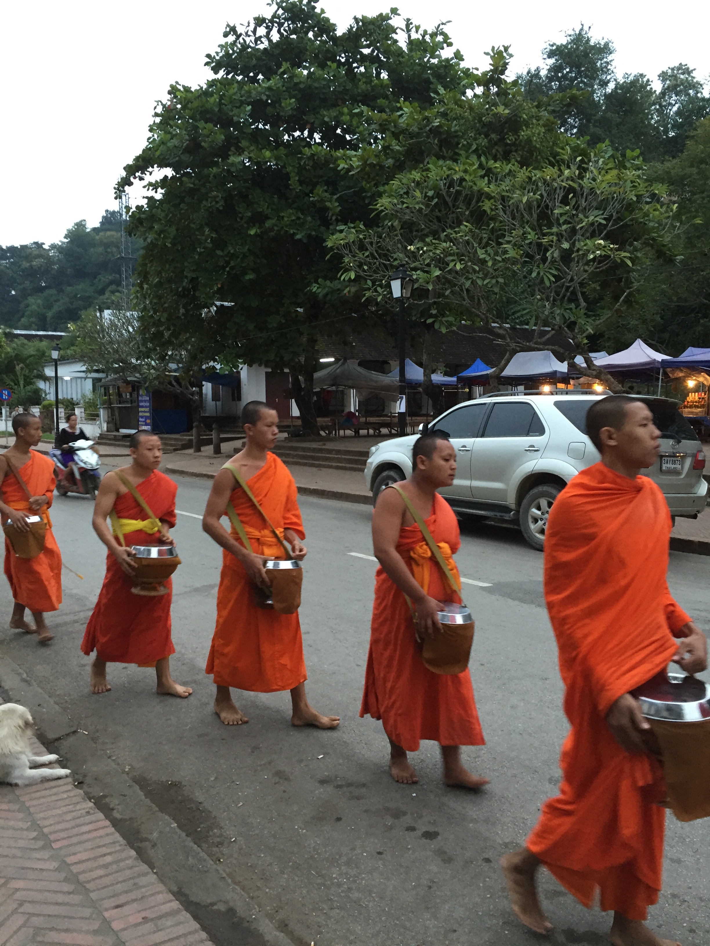 A line of Buddhist monks taking offerings of rice along the streets of Luang Prabang.