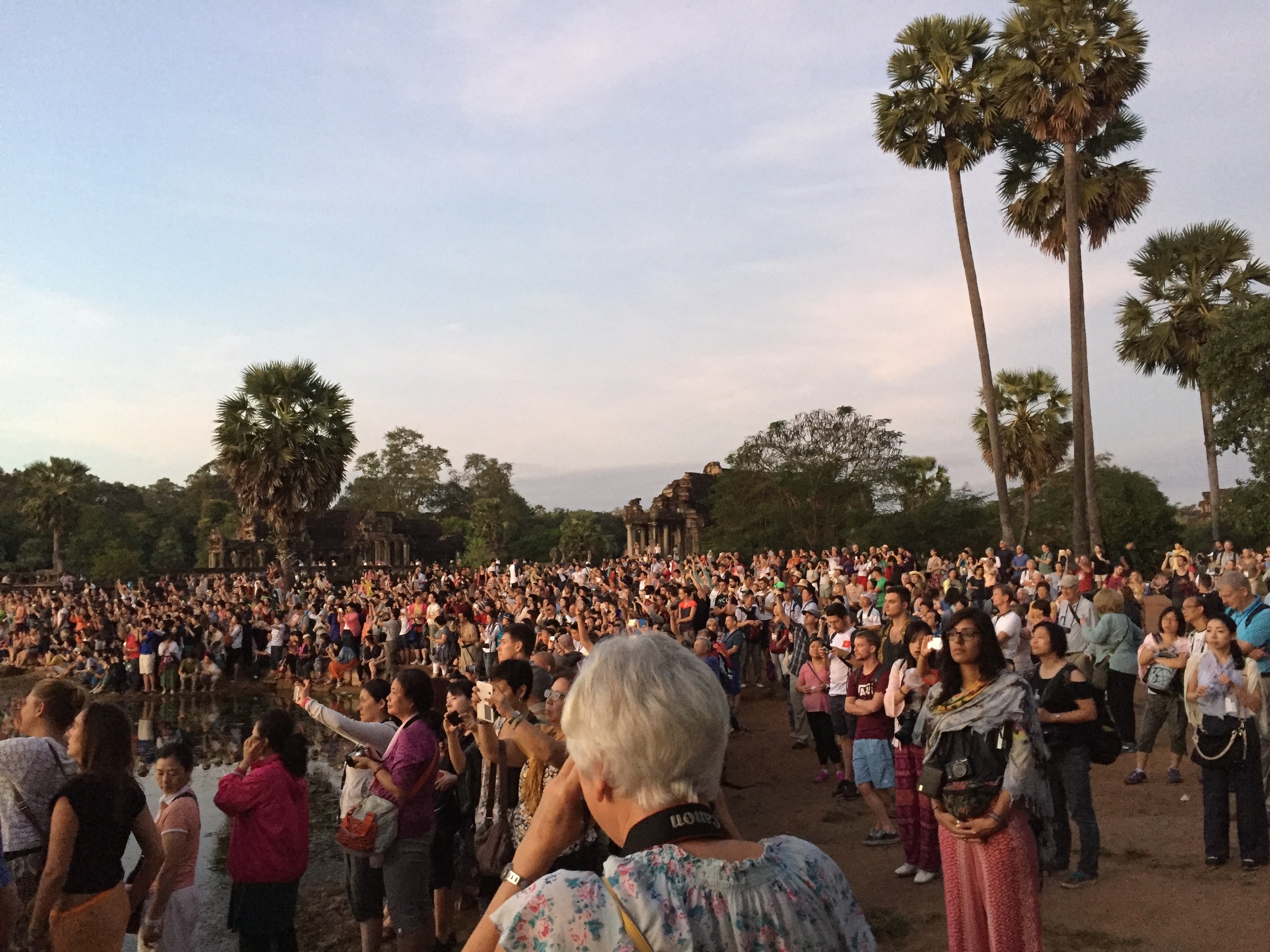 The crowds at Angkor Wat just before sunrise.
