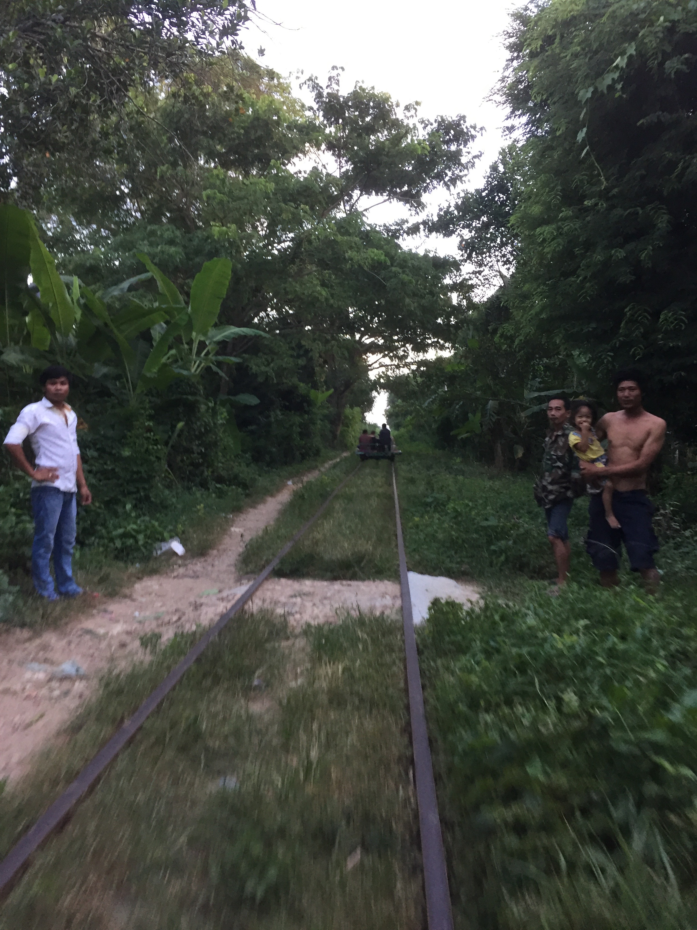 We headed down the tracks just before sunset, saying hello to the locals, and noting tree branches full of spiders above.