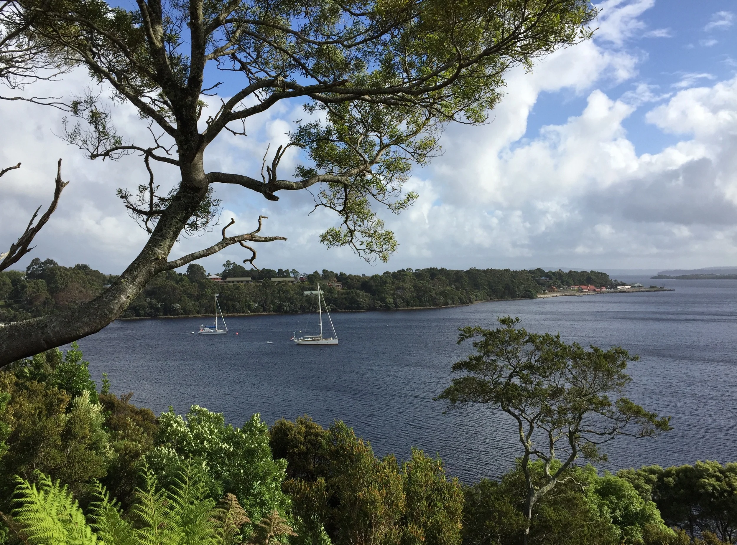 Strahan is a small village on the west coast of Tasmania and used to serve as a port exporting logs and ore from nearby natural areas. Today, it's primarily a tourist destination.