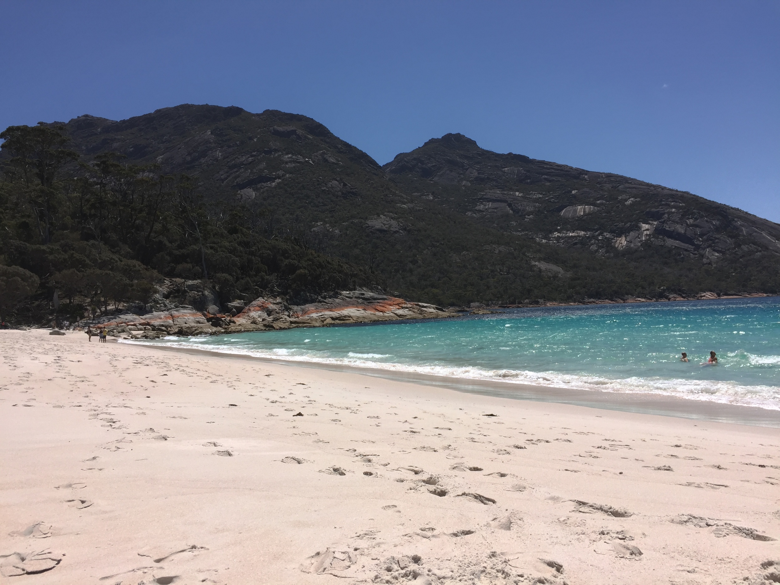 Wineglass Bay at Freycinet National Park on the east coast of Tasmania is a protected spot for many native shorebirds including plovers.