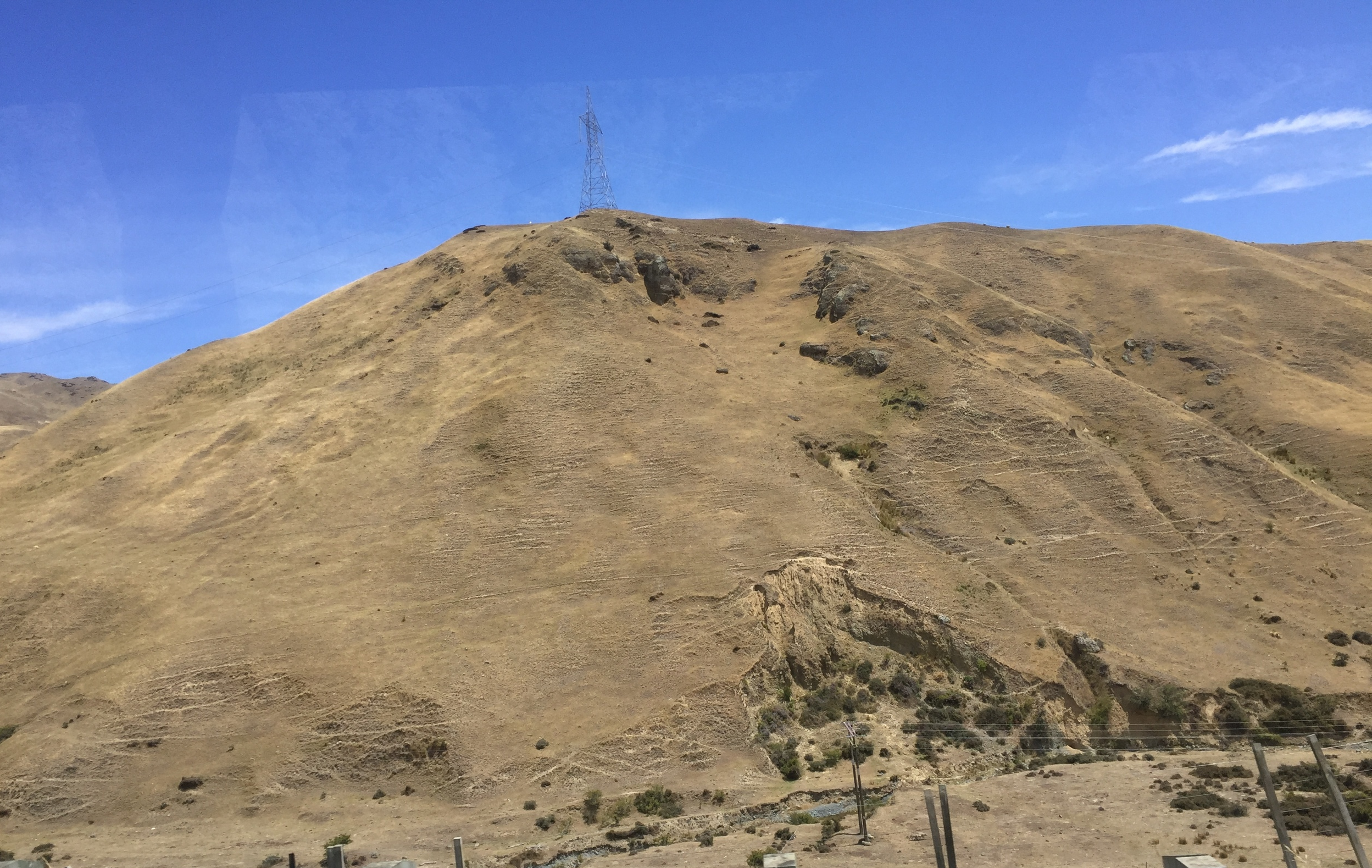 Much of New Zealand's farmlandis used to graze sheep. This view from the bus on the Sorth Island shows how overgrazed some of these lands are. You can see the animal trails criss-crossing the slopes and prevalent erosion scars.