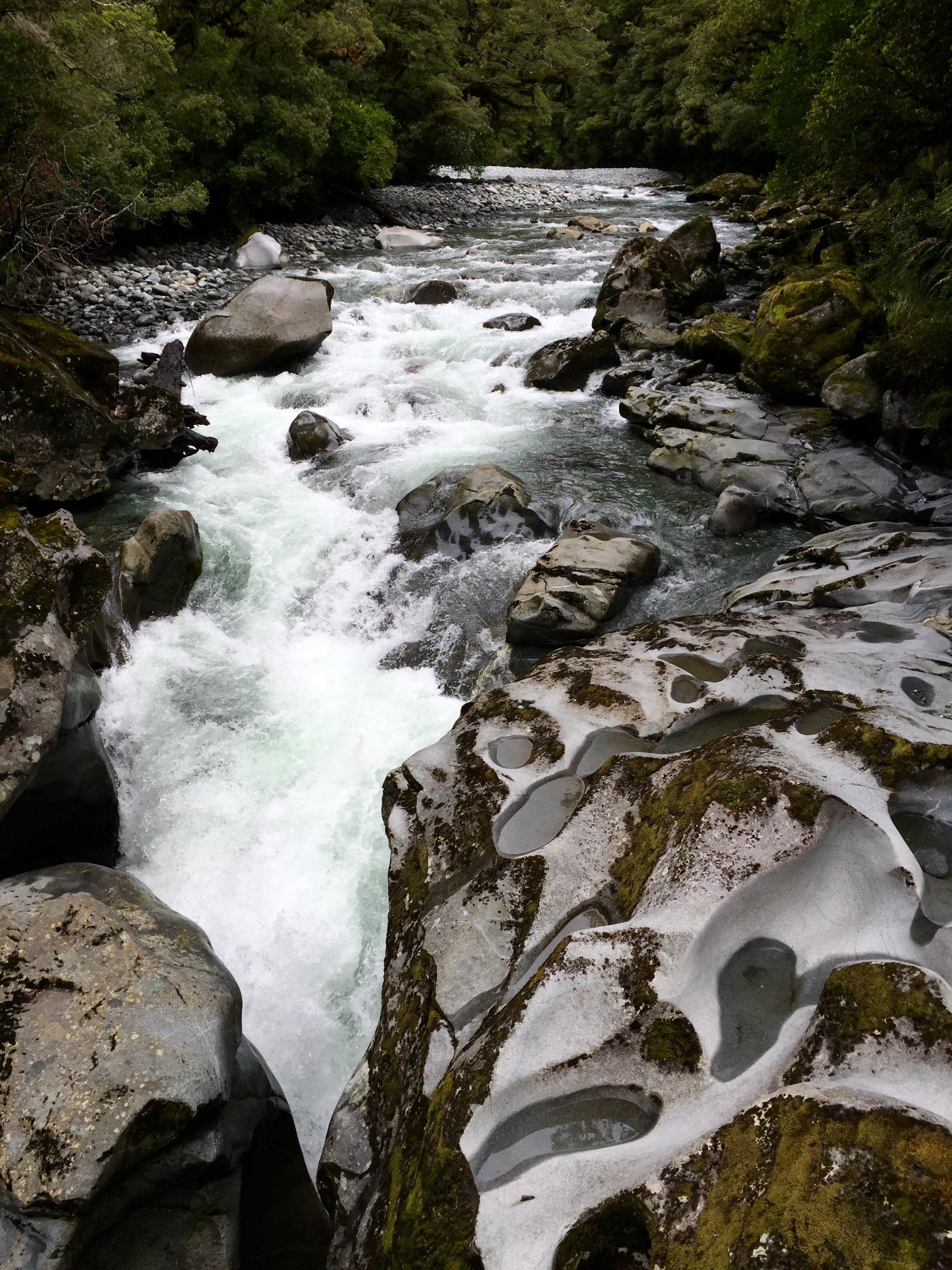 New Zealand is a solo traveler's dreamscape offering countless engaging places to experience.