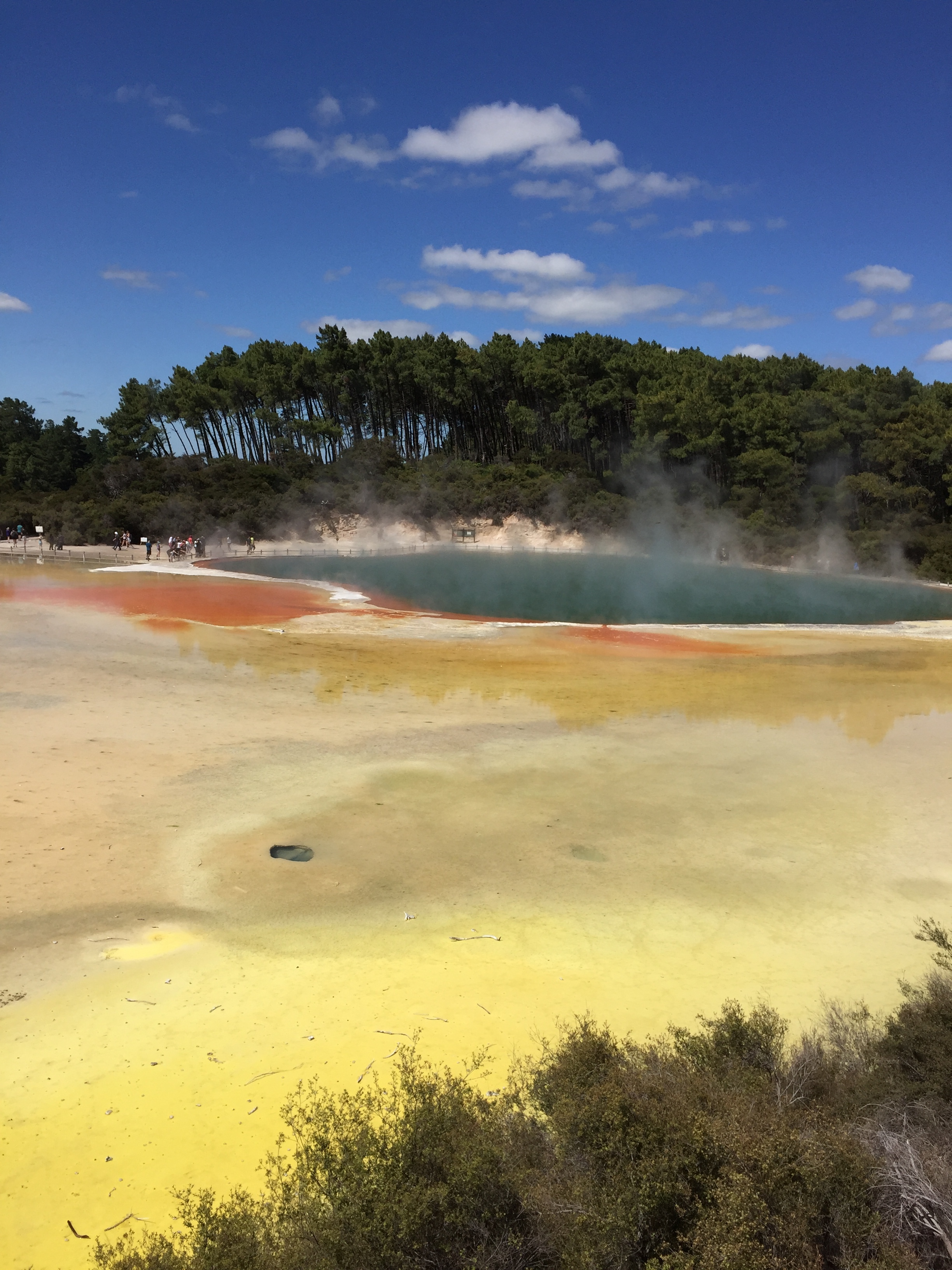 Champagne Pool at Wai-o-tapo Thermal Wonderland outside Rotorua, New Zealand.