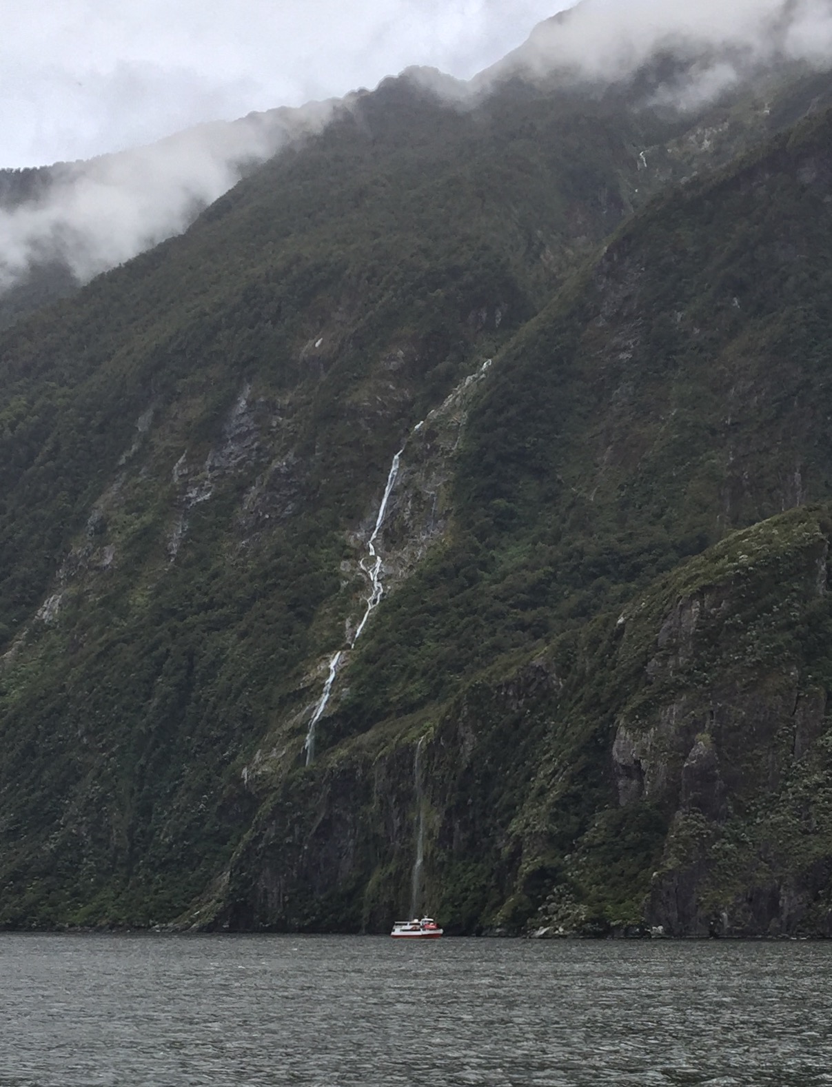 Cruising along the fiords of Milford Sound; for scale, note the 50 foot boat near the bottom center of the photo.