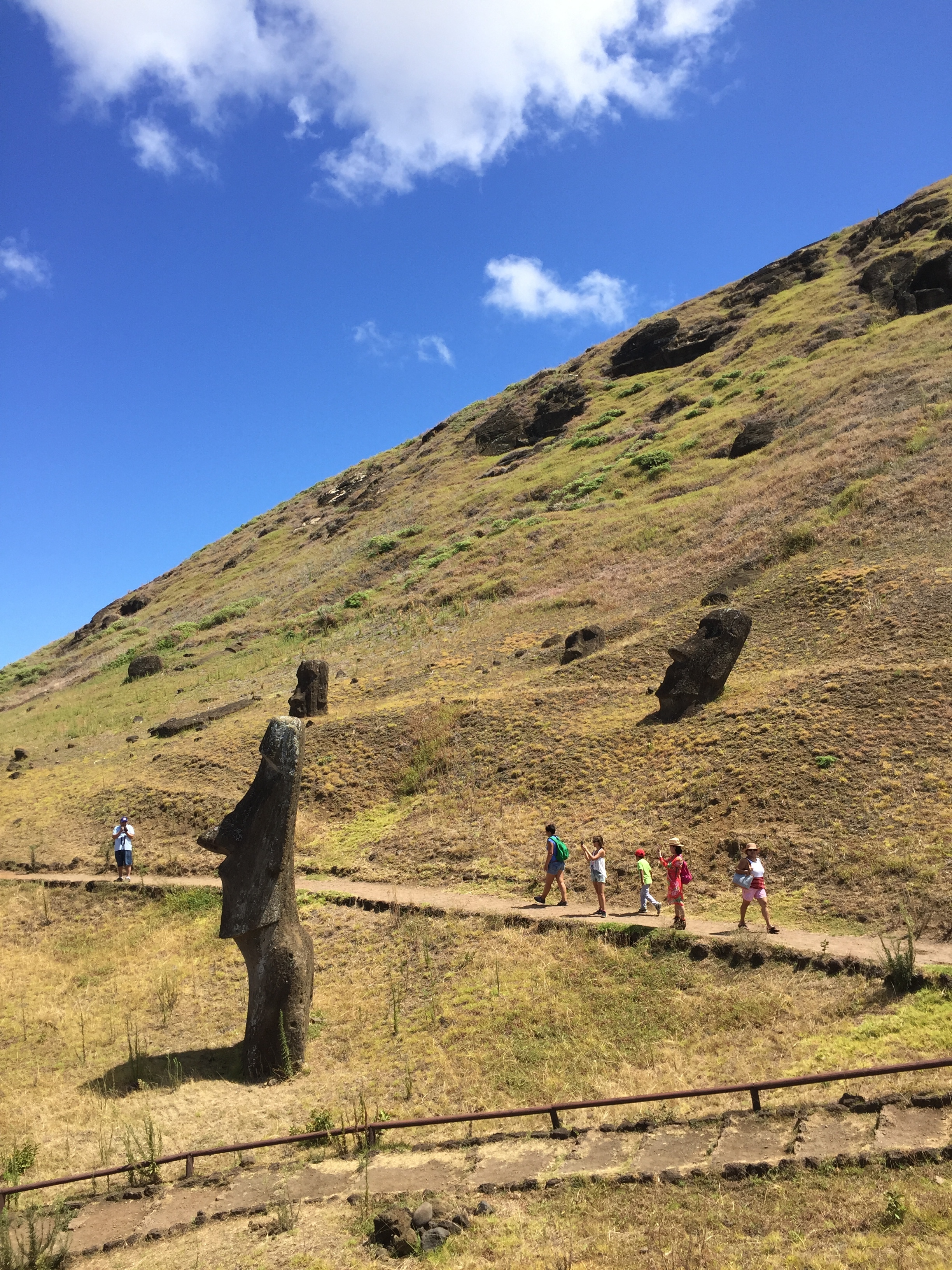 You can hike around the Moia scattered about the hillsides of Easter Island.